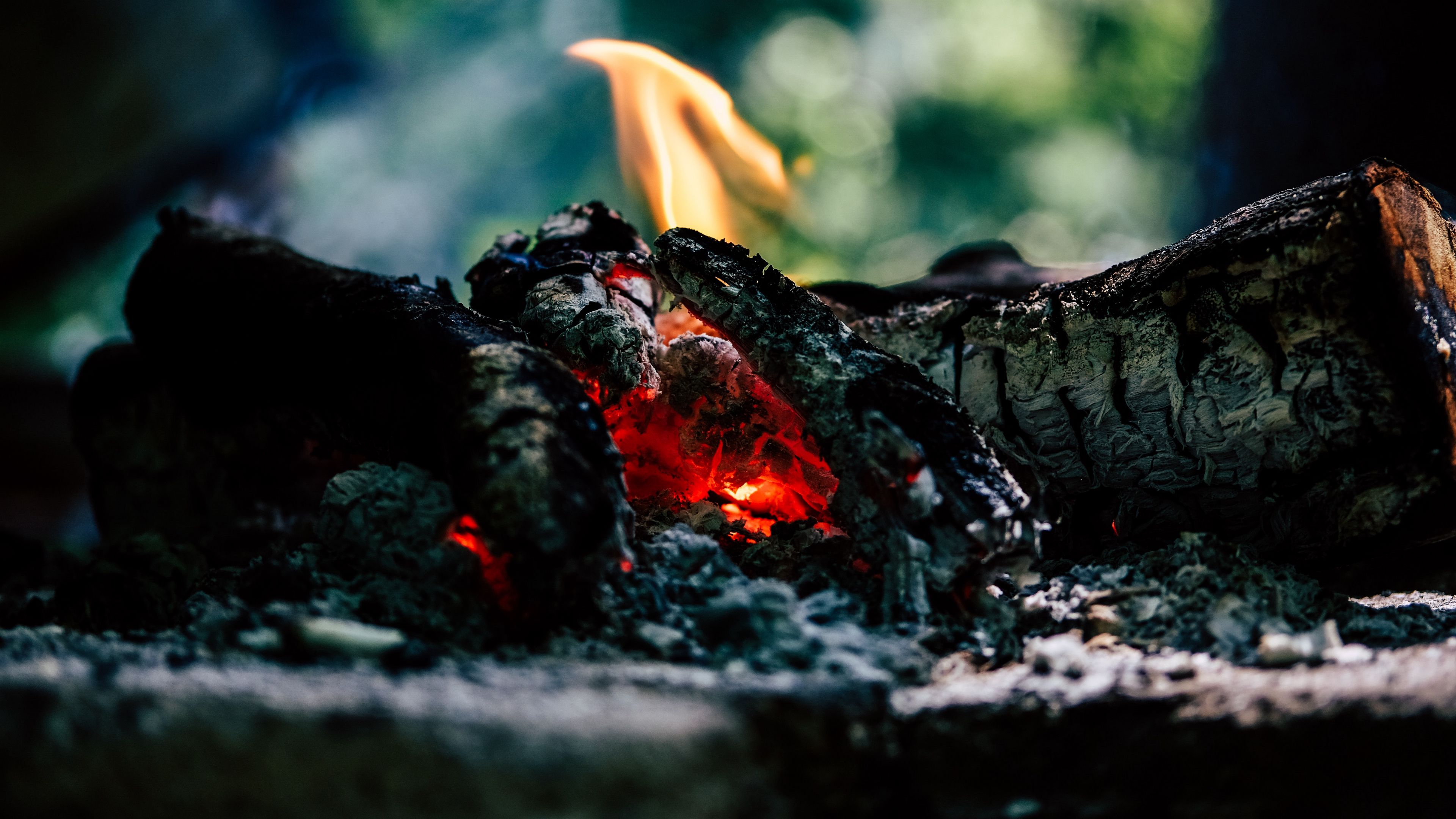coals, fire, ashes, 4k, HD Wallpaper