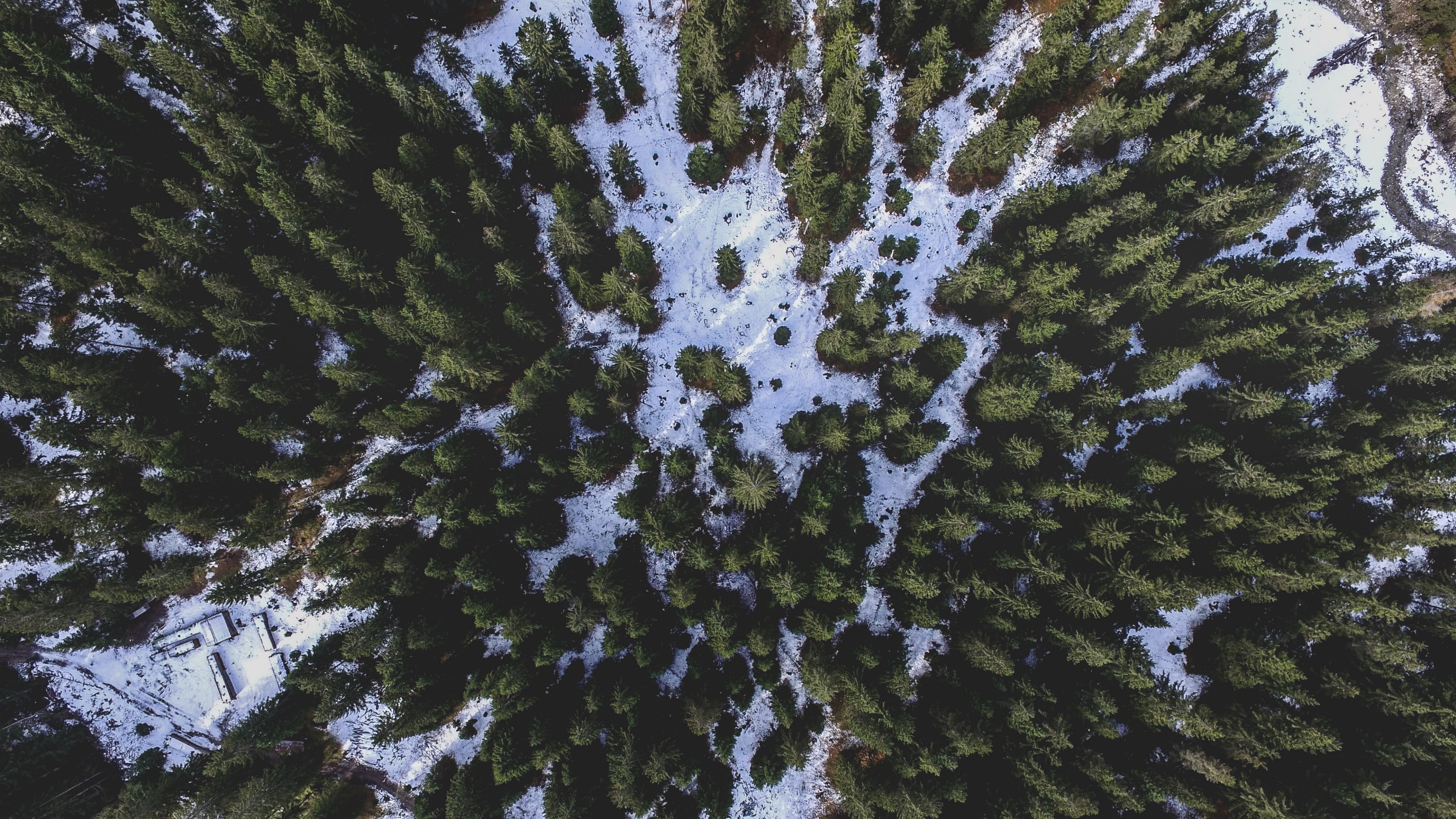 a drone shot of a coniferous forest in leutasch in winter, best seat in the house 4k, HD Wallpaper