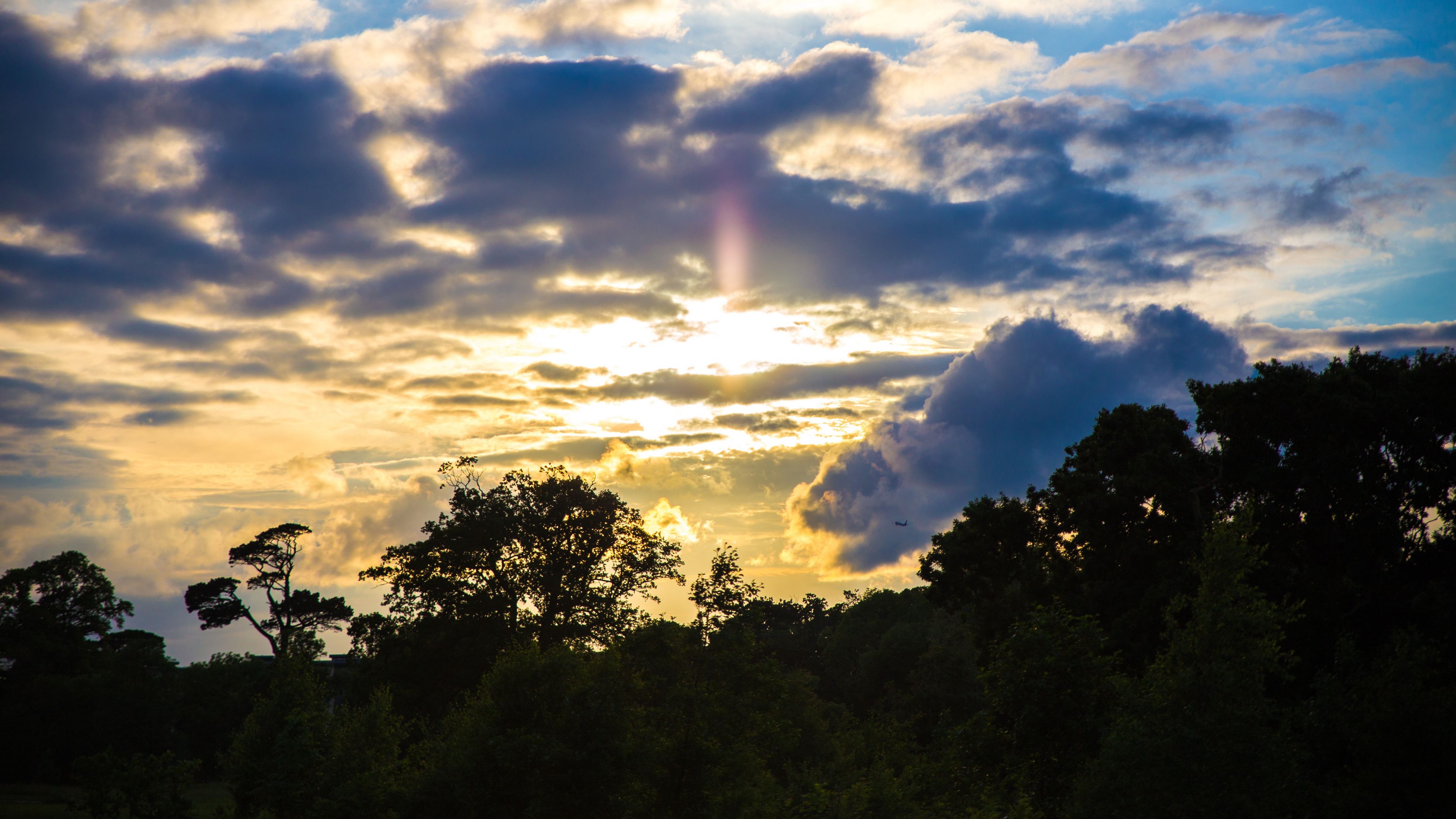 trees, sunset, sky, clouds, 4k, HD Wallpaper