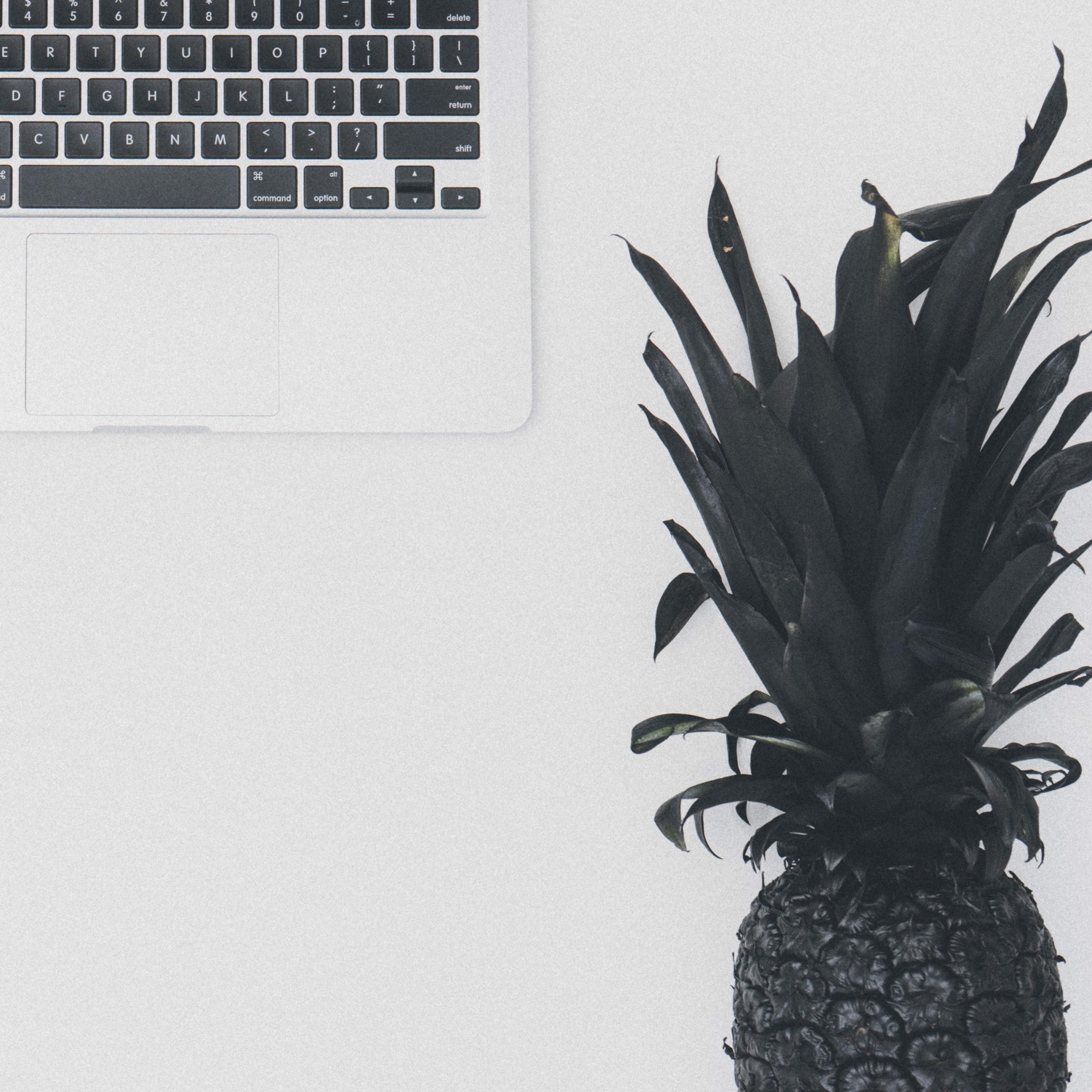 flat lay overhead white background and macbook 4k, HD Wallpaper