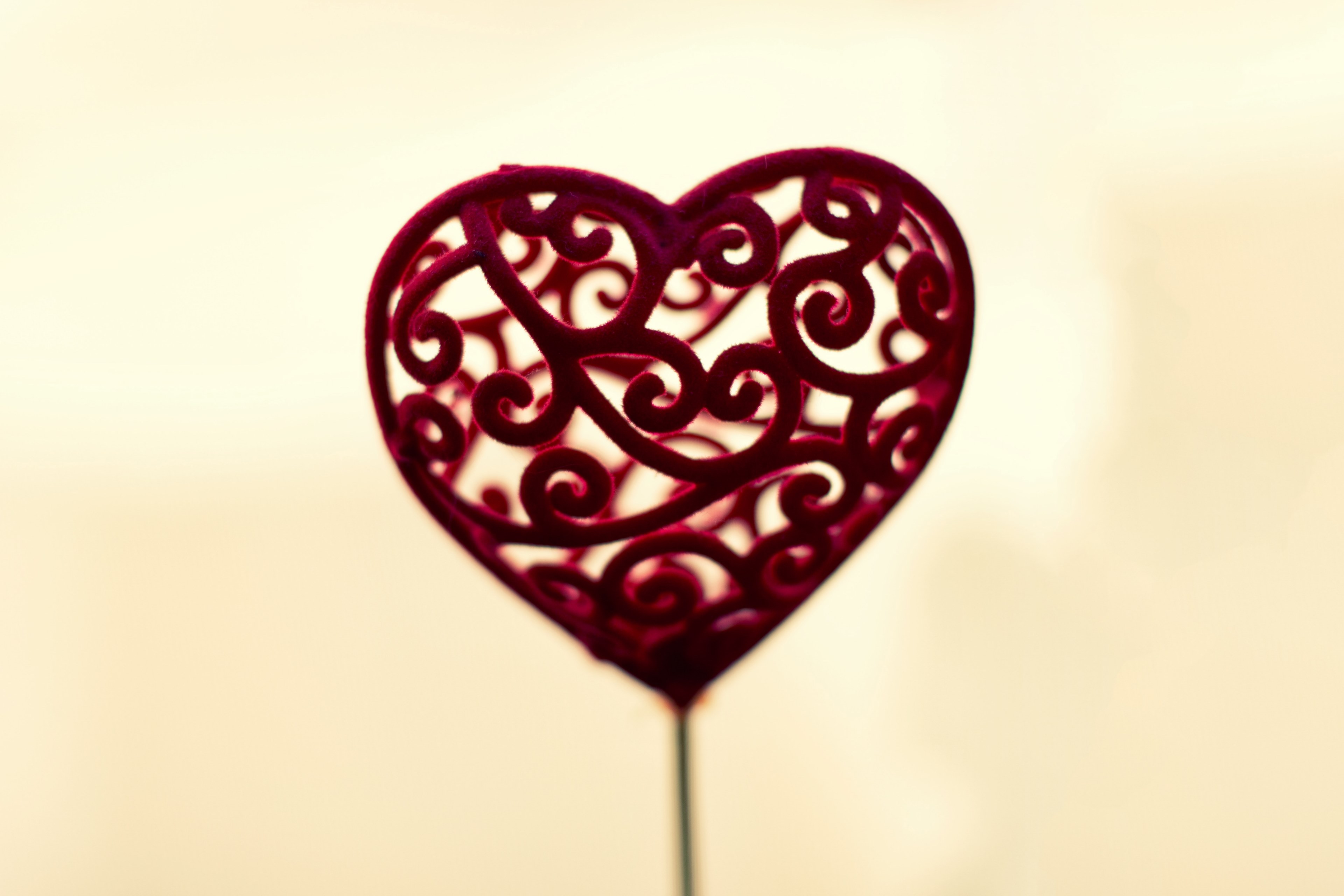 heart icon pink and gift 4k, HD Wallpaper