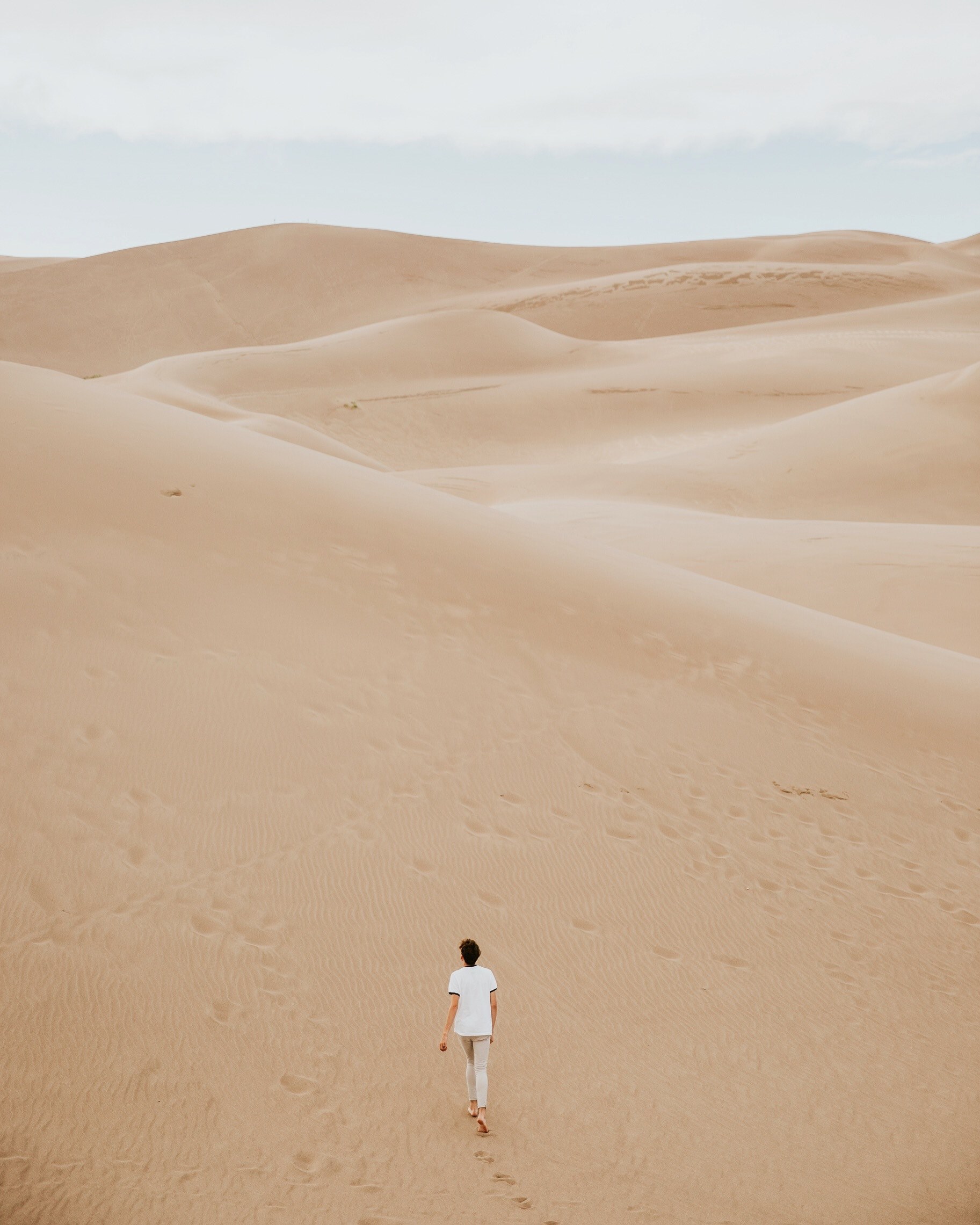 walking alone through the dunes lone tree desert, desolate desert hike 4k, Phone HD Wallpaper