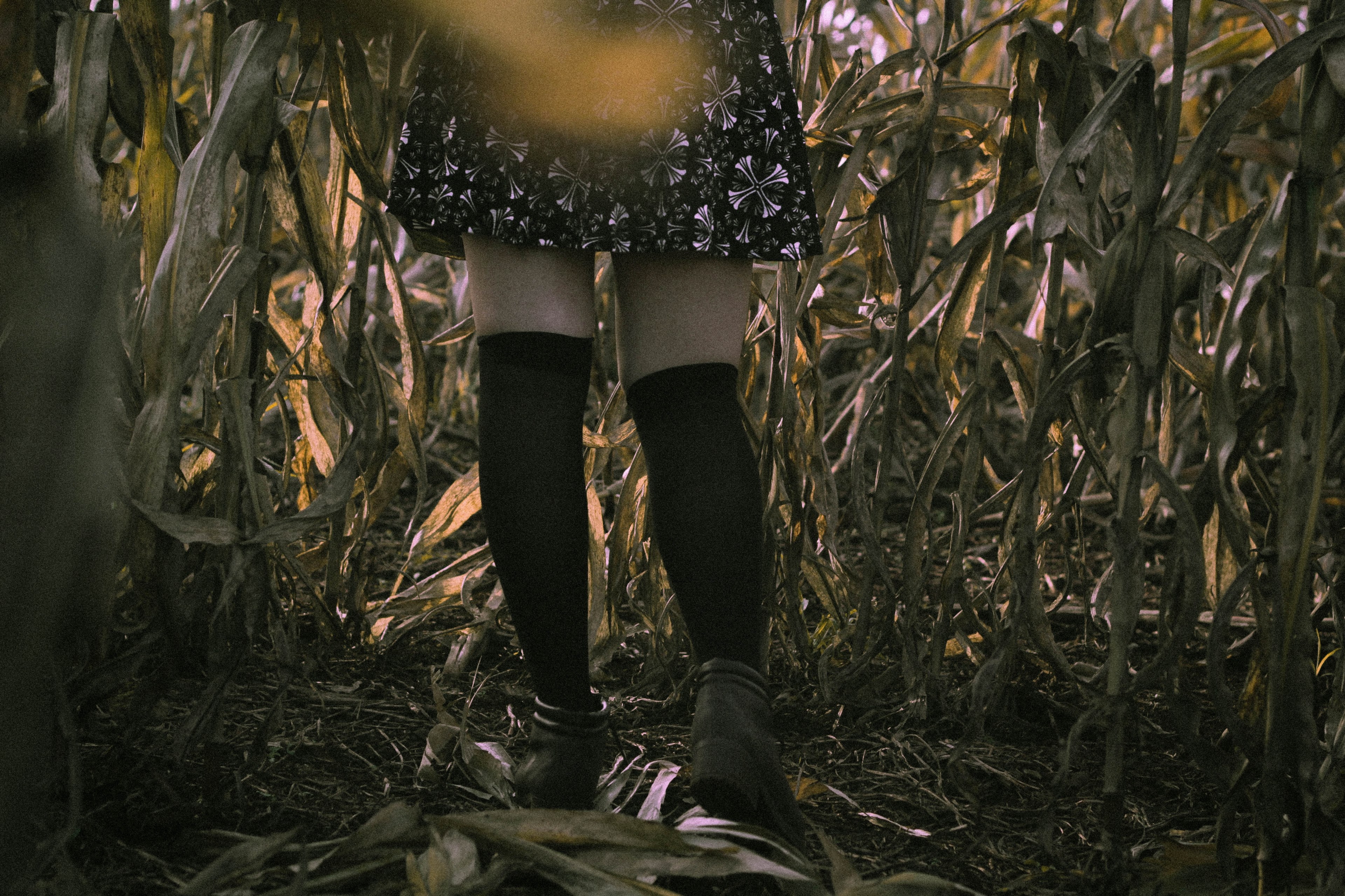 explore leg sock and exploration 4k, HD Wallpaper