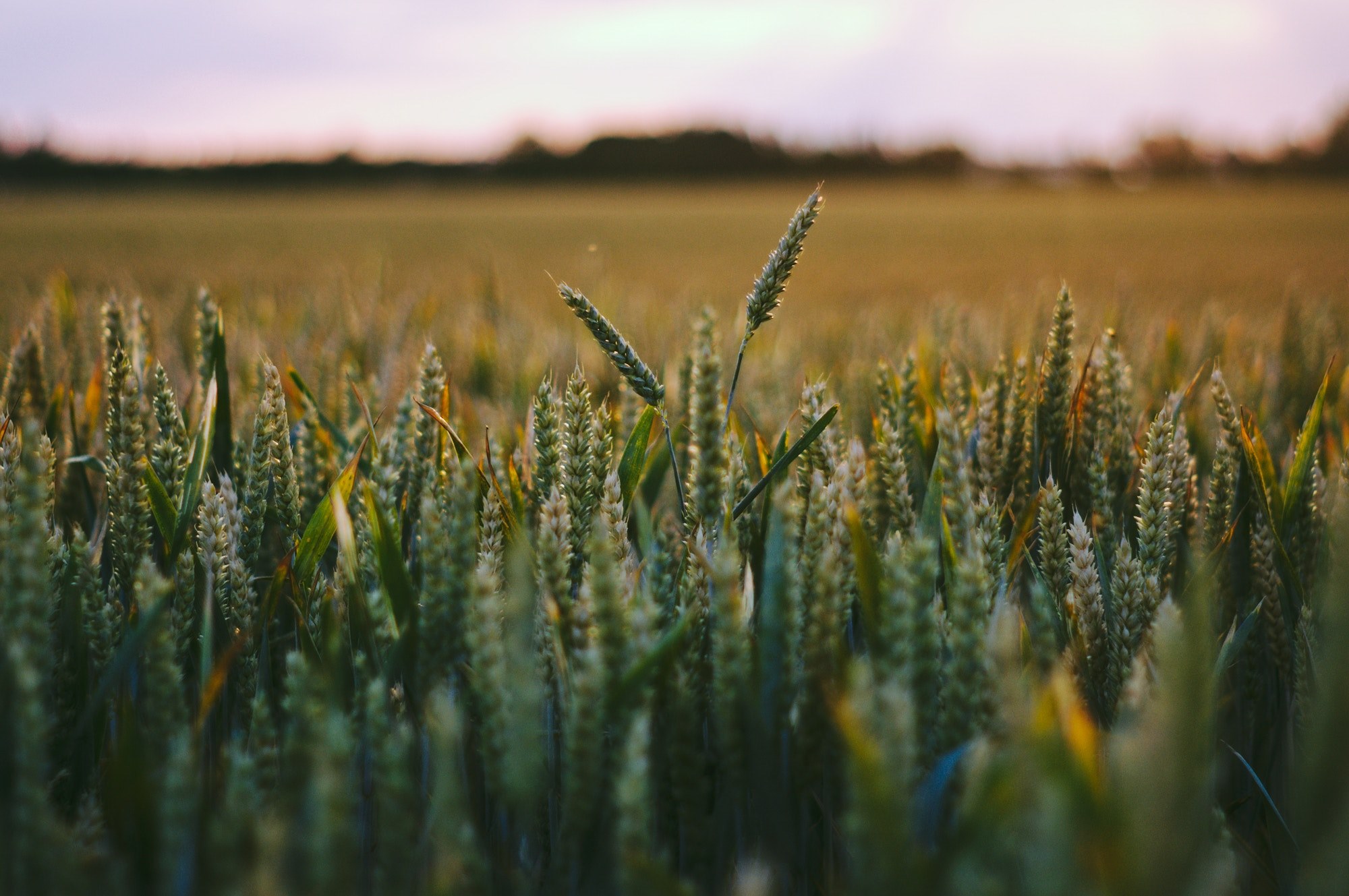 outdoor ear cloud and cereal 4k, HD Wallpaper