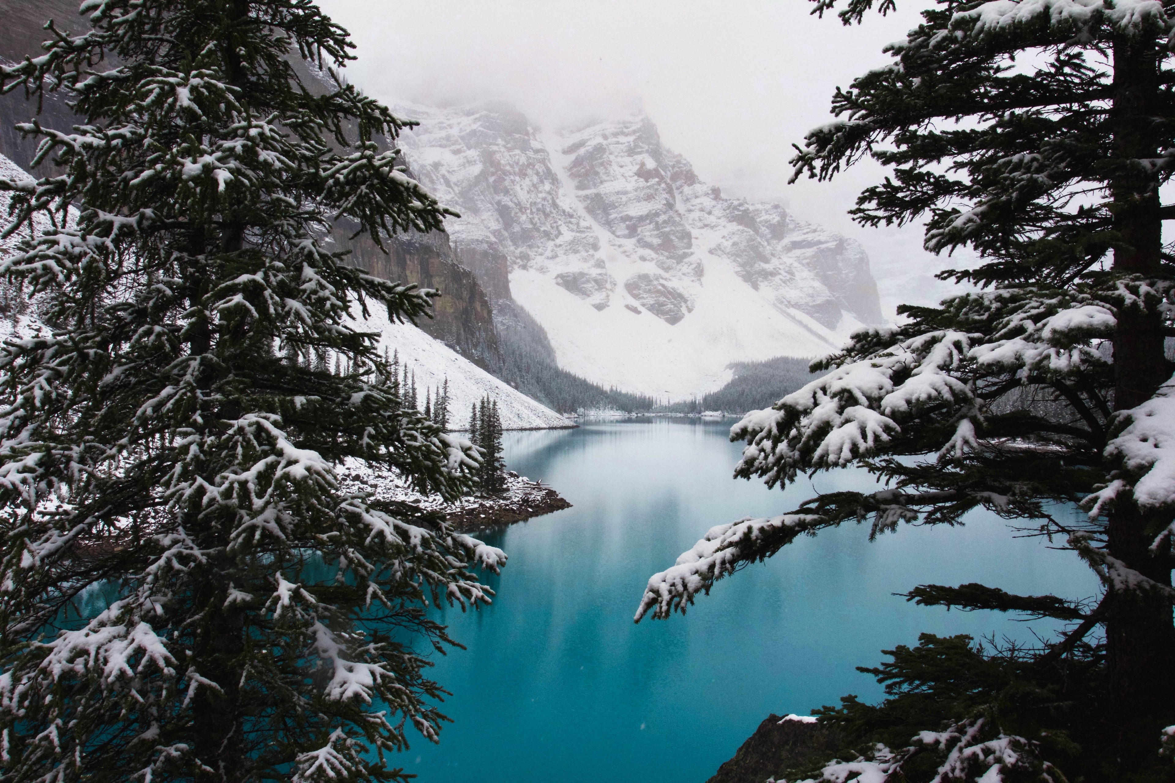 an evergreen setting around the blue water of lake louise in alberta, moraine lake 4k, HD Wallpaper