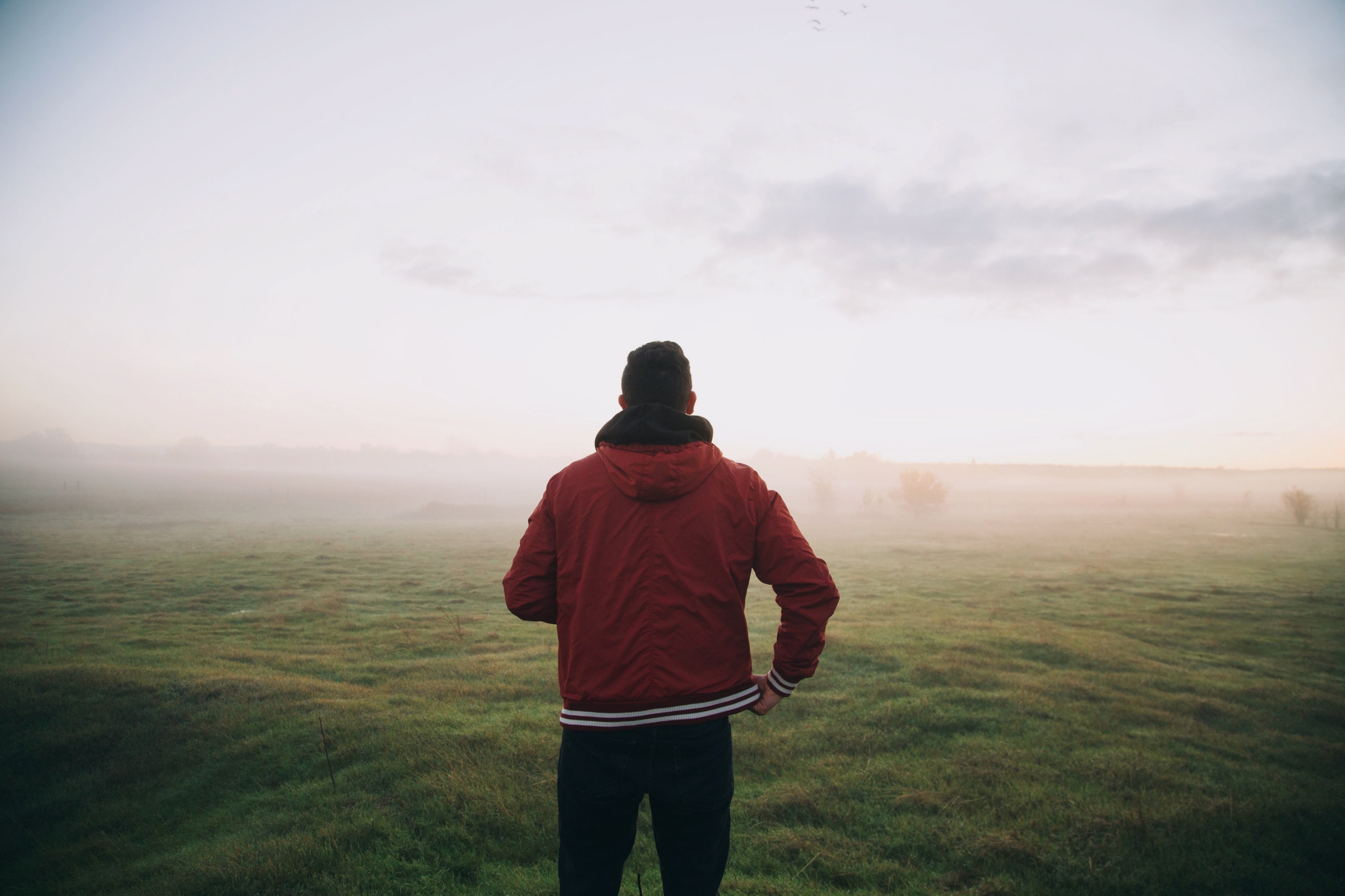 a man in a red jacket standing in a foggy green field, man in a foggy green field 4k, HD Wallpaper