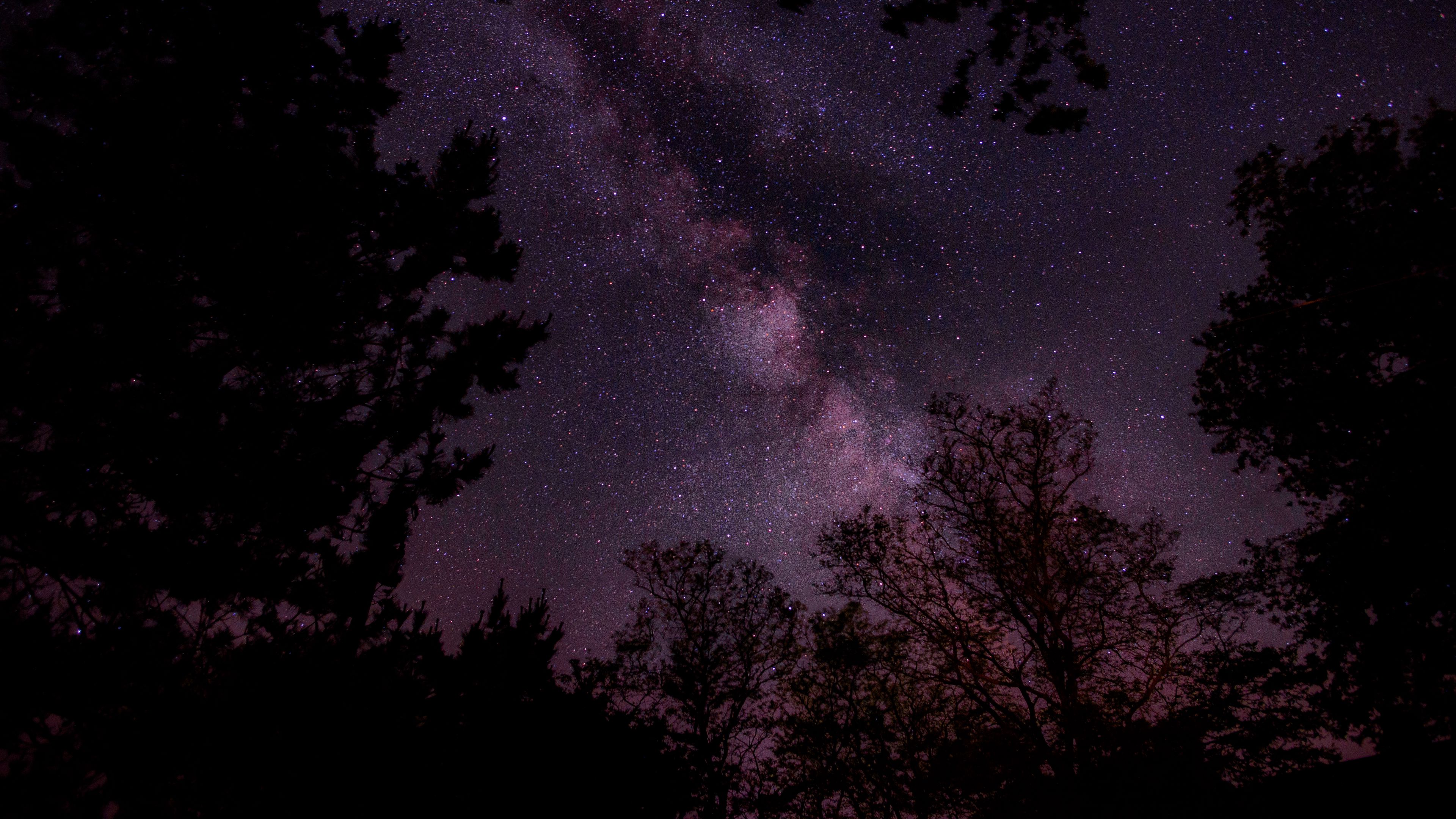 starry sky, stars, sky, night, trees, 4k, HD Wallpaper