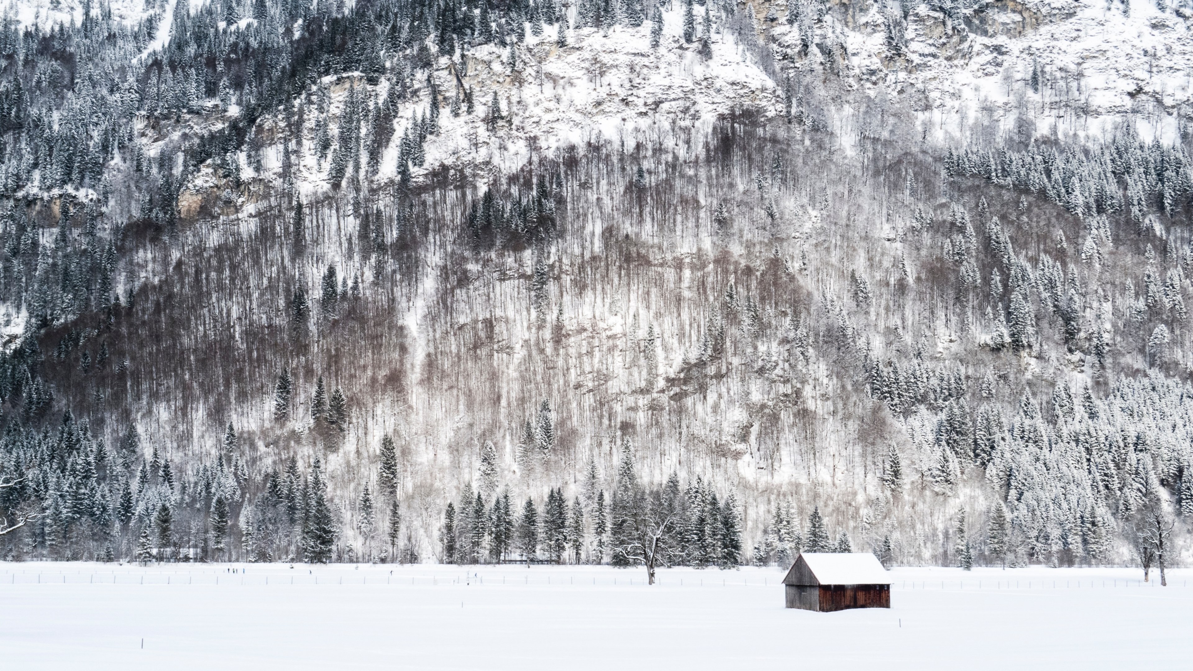 a wooden shack at the foot of a wooded mountain in the winter, hut in winter landscape 4k, HD Wallpaper
