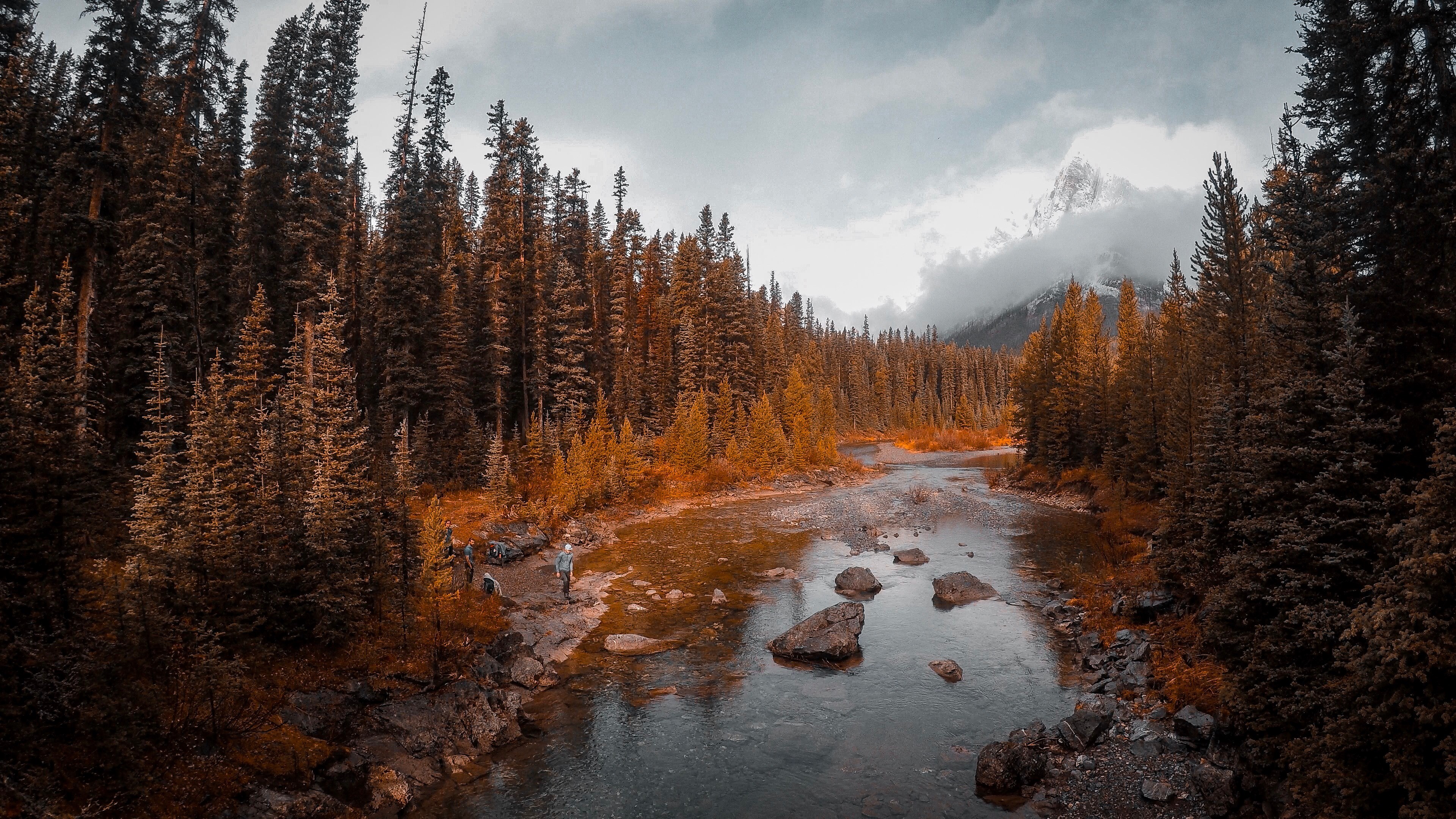 mountain landscape hike and tree 4k, HD Wallpaper
