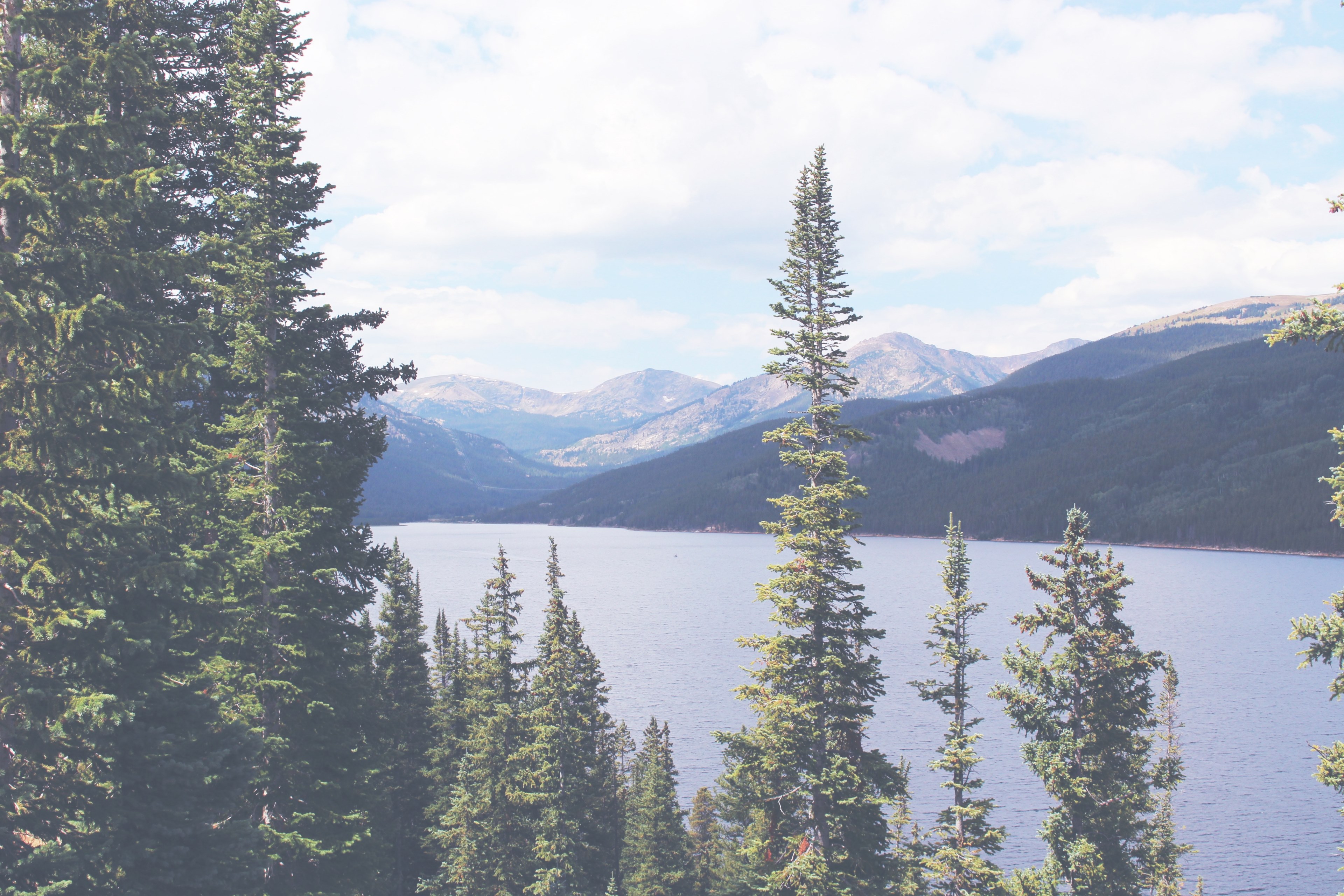 a mountain lake partly obscured by pine treetops in leadville, pine trees by the mountain lake 4k, HD Wallpaper