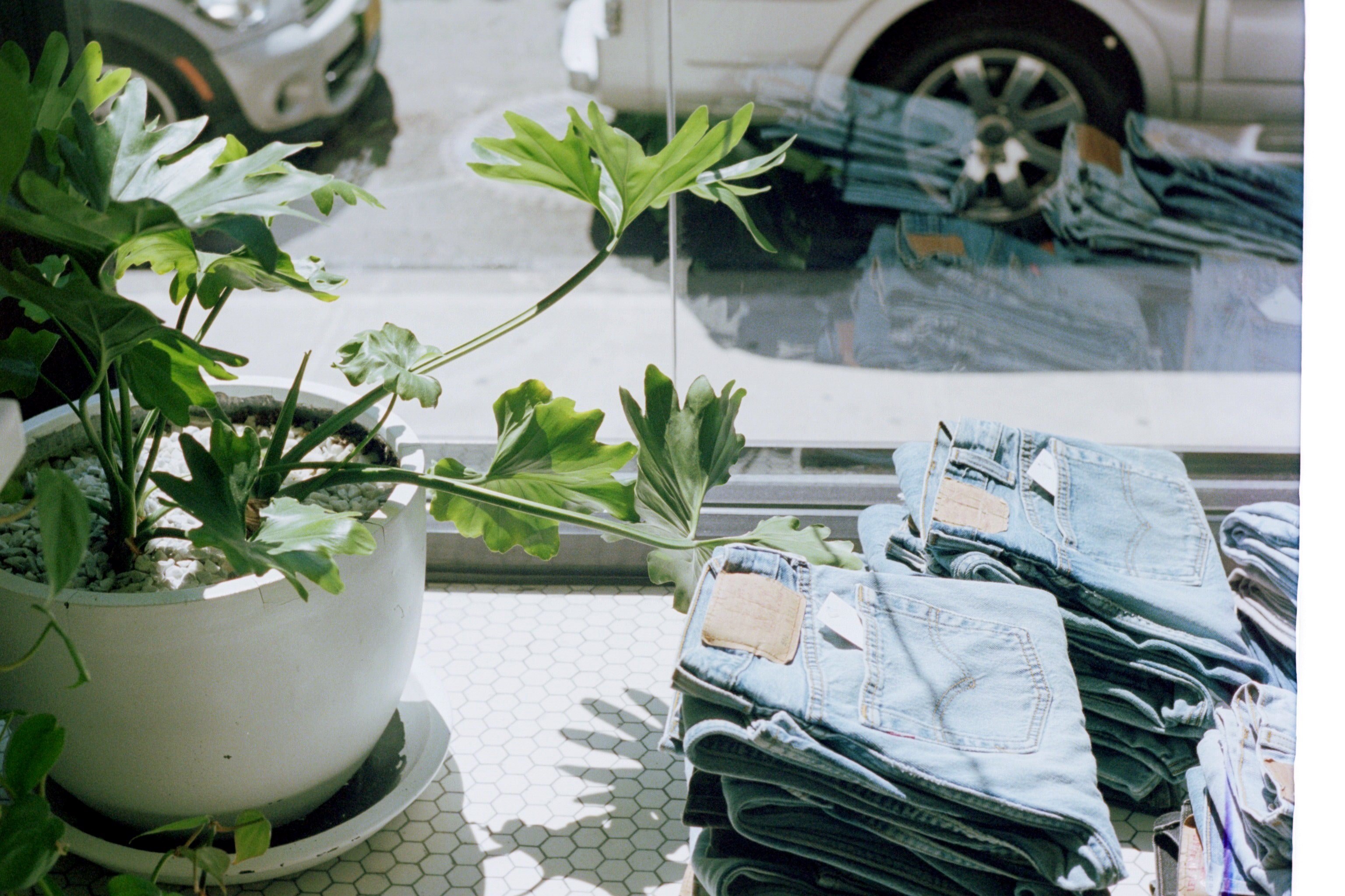 pairs of folded jeans and a potted plant behind a window, green plant behind the store window 4k, HD Wallpaper
