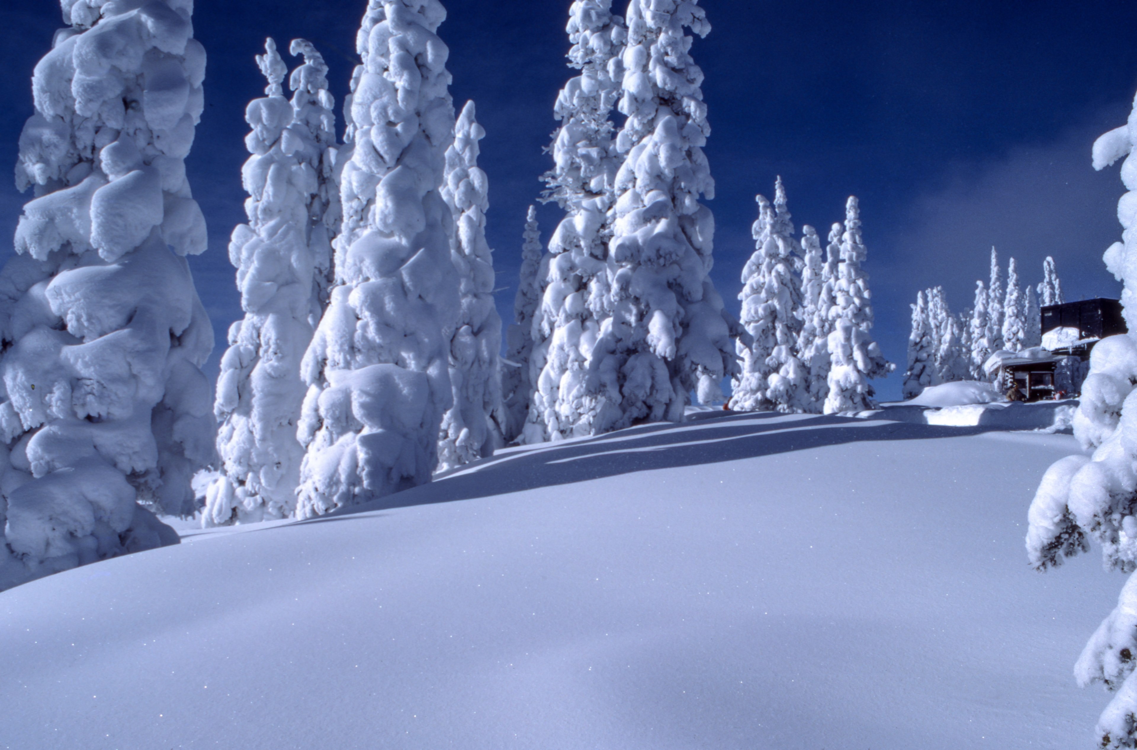 looking uphill toward a cabin in the forest after a heavy snowfall, cabin in winter forest 4k, HD Wallpaper