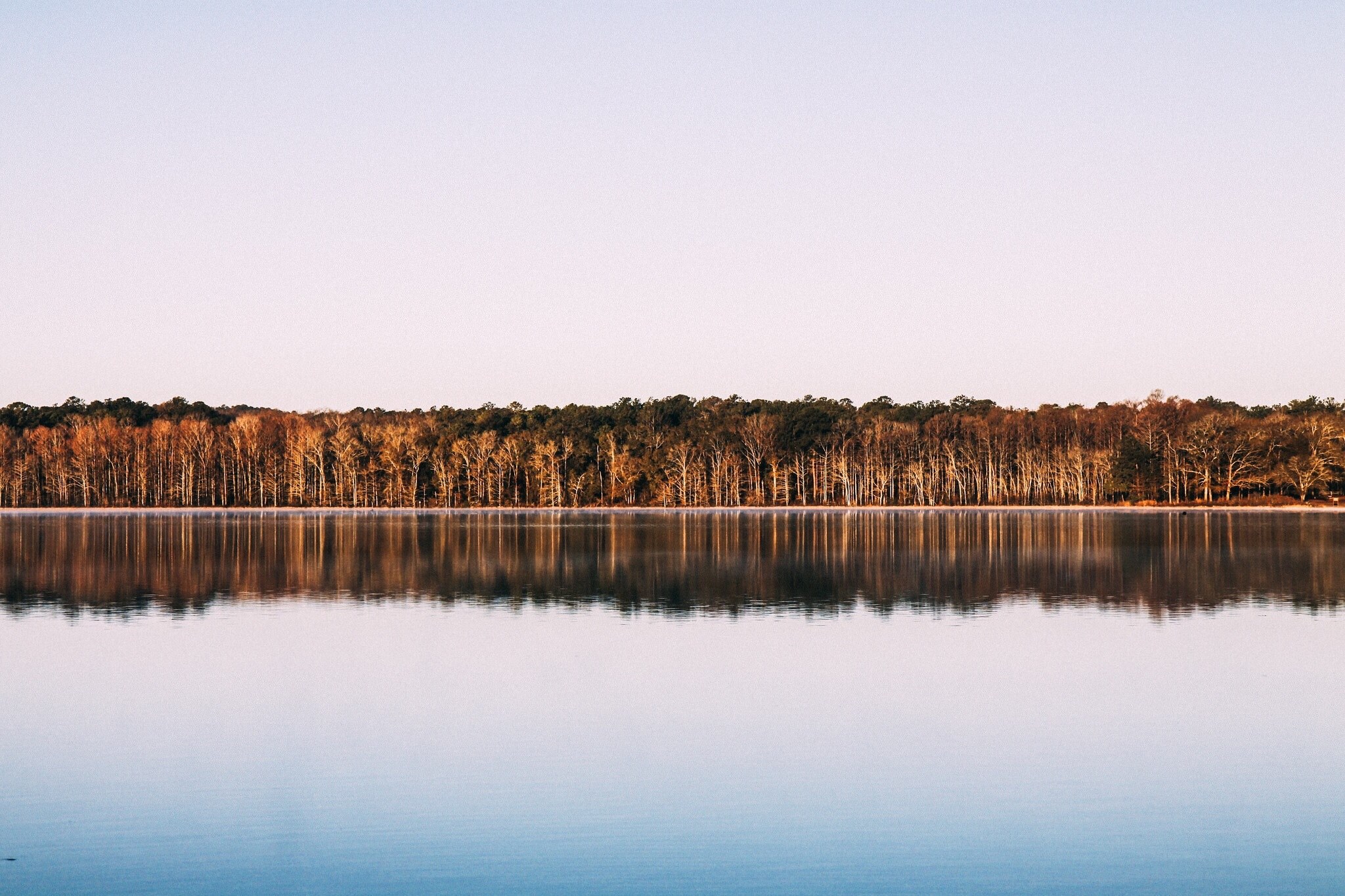 view across a lake on autumn trees on the other shore, still lake in the autumn 4k, HD Wallpaper