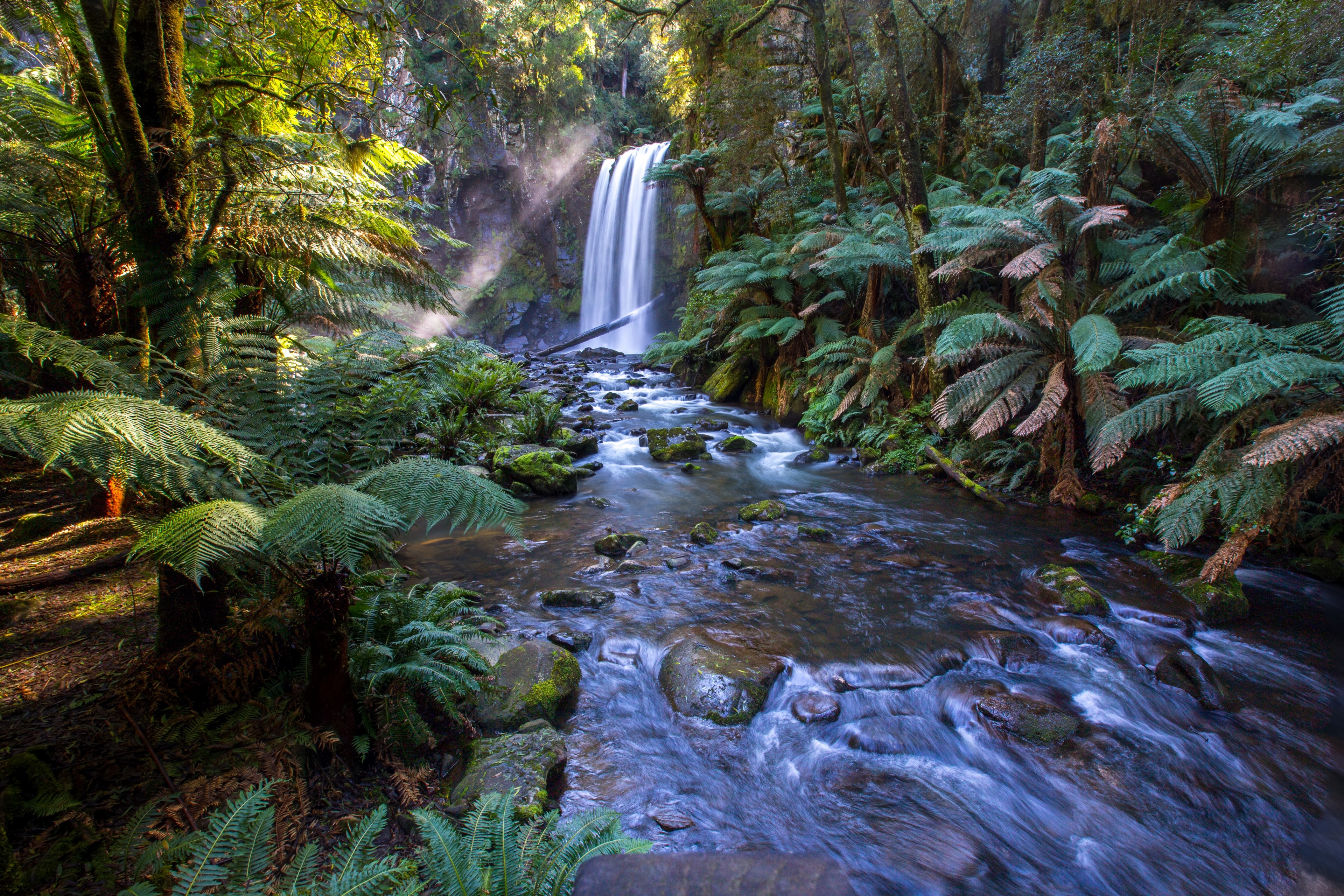 a waterfall pouring into a frothy stream in a forest, blue stream with a waterfall 4k, HD Wallpaper