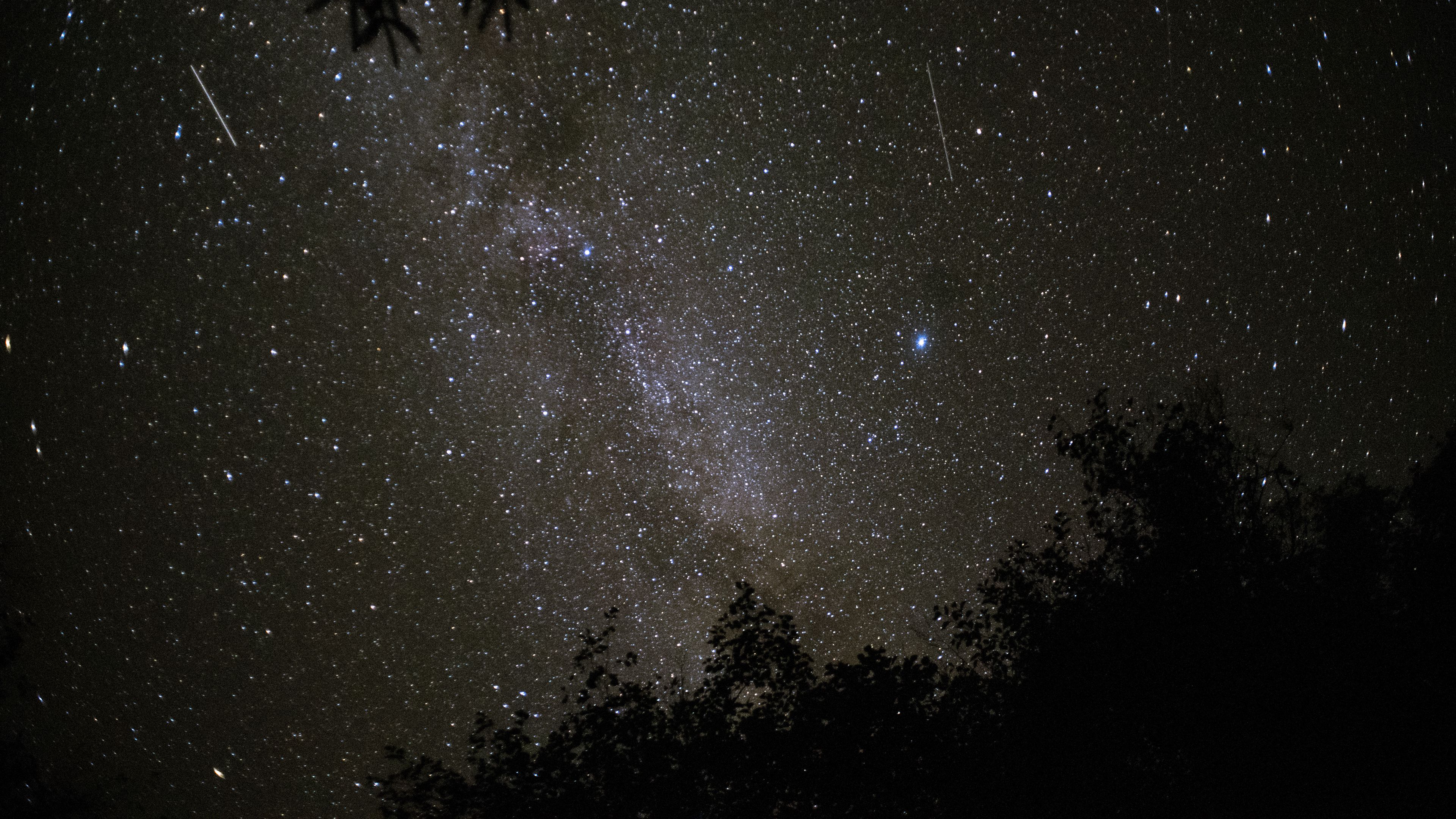 space, branches, dark, stars, 4k, HD Wallpaper