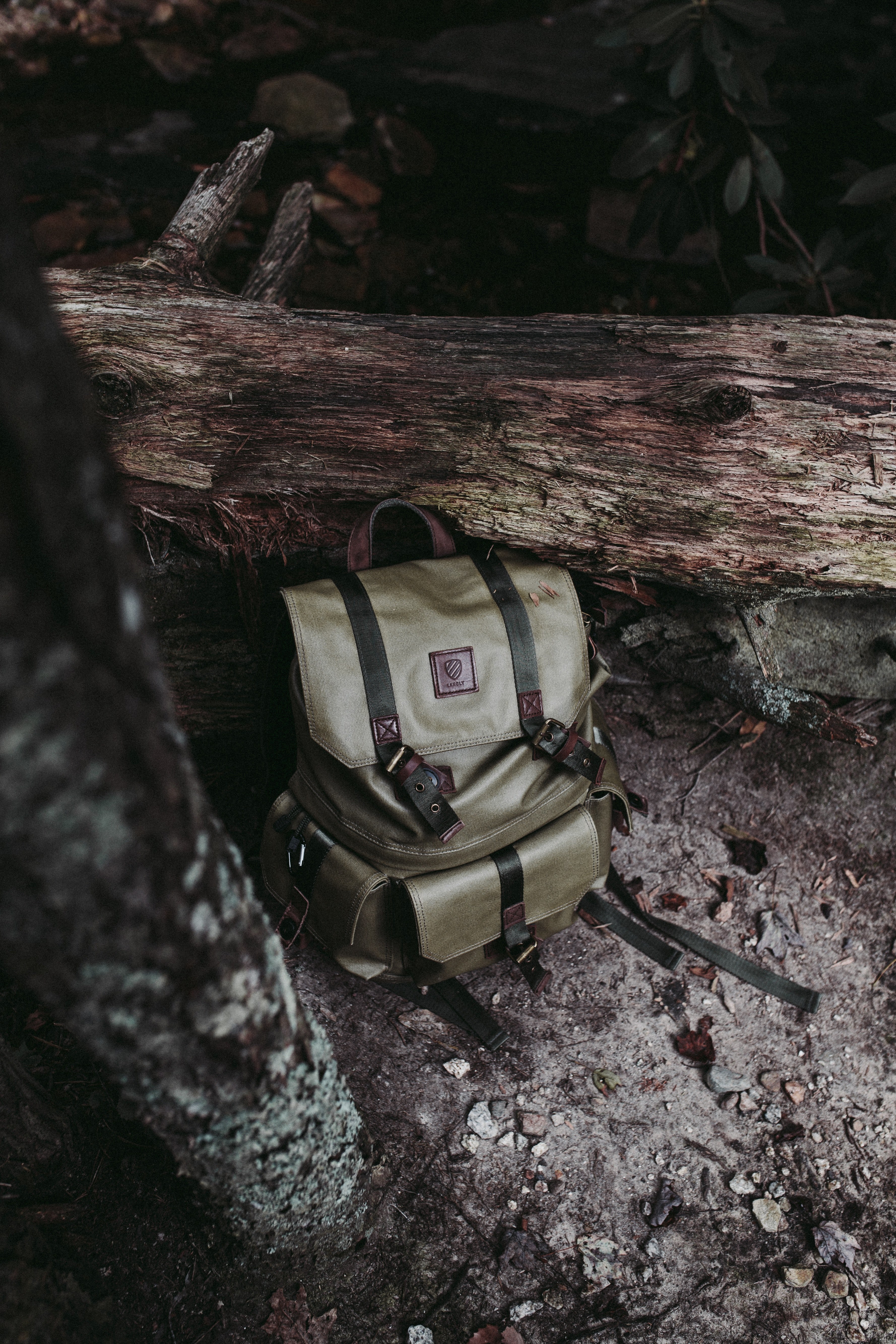 backpack wood tree and log hd, 4k, Phone HD Wallpaper
