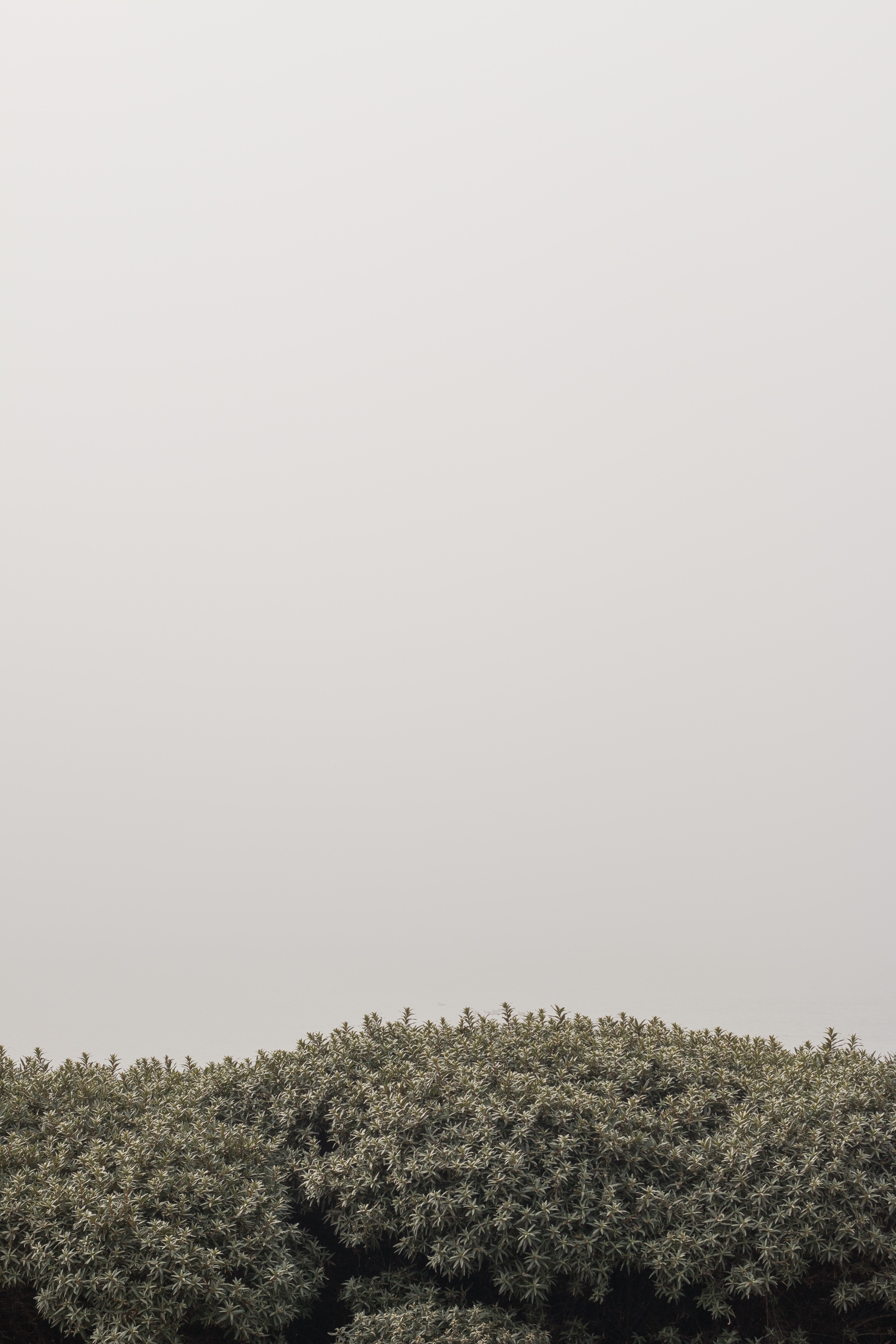 morning fog helsinki 3 4k, Phone HD Wallpaper