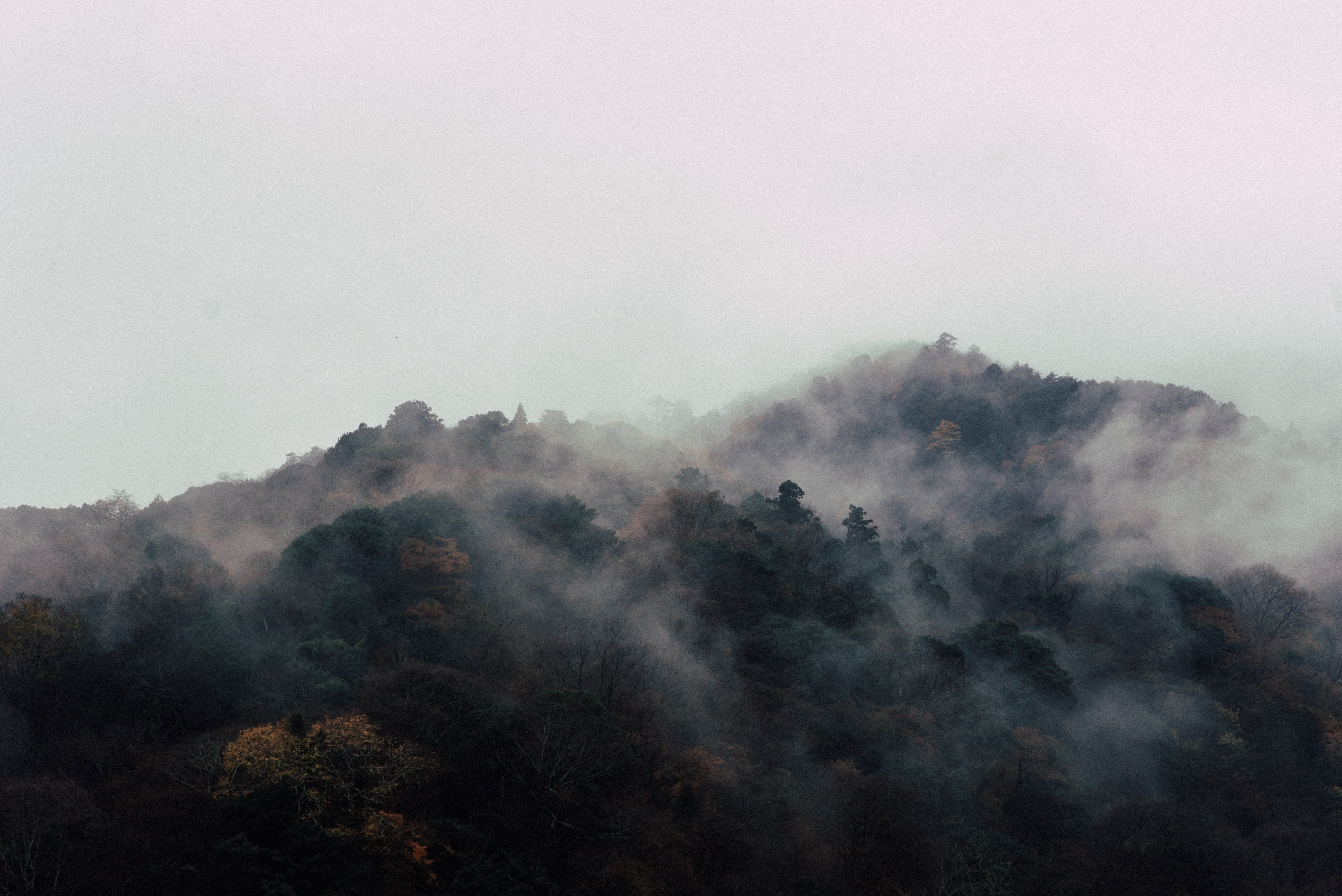 a morning haze over wooded hills in arashiyama, arashiyama kyoto japan 4k, HD Wallpaper
