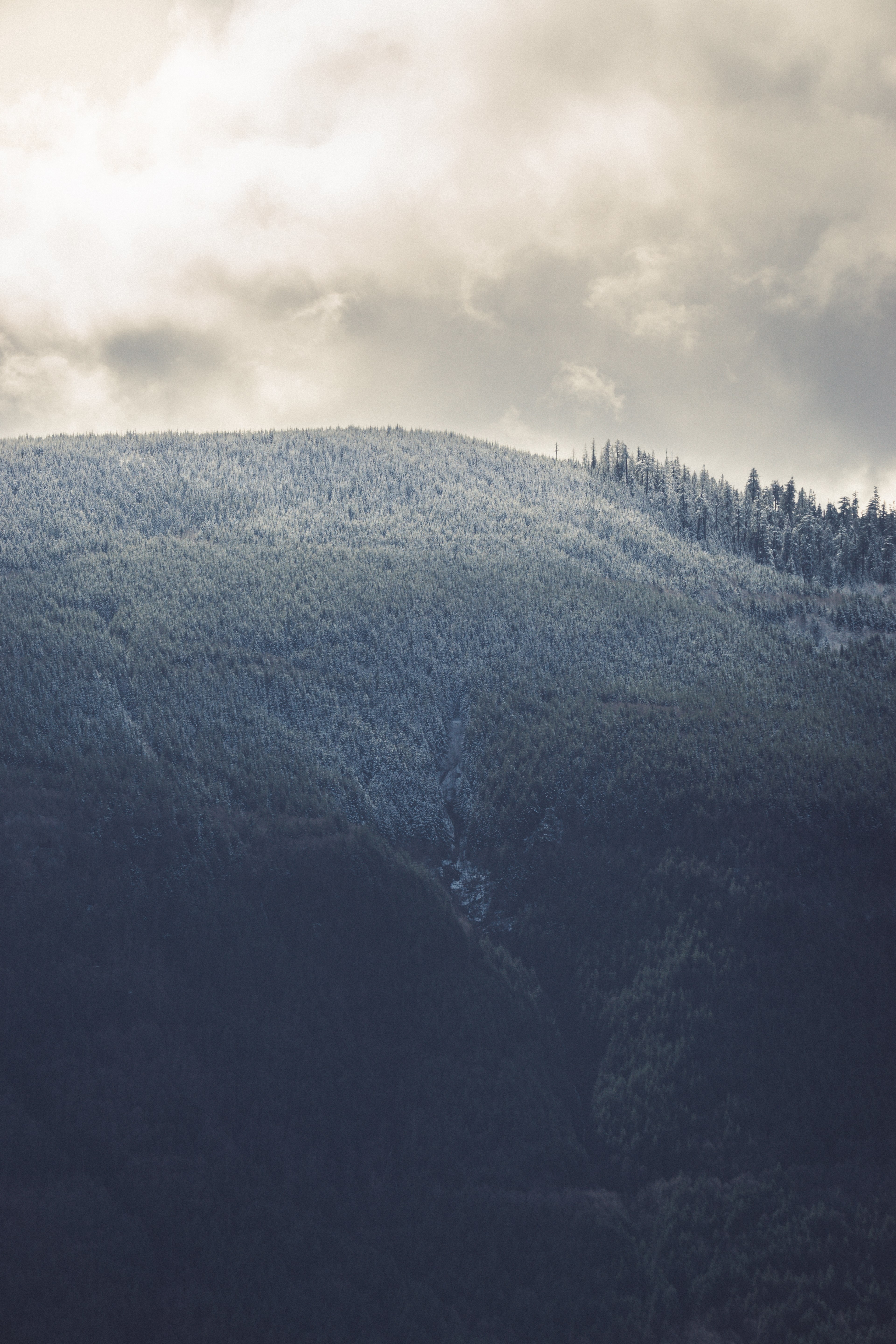 a tall wooded hill under an overcast sky, in the mountains again 4k, Phone HD Wallpaper