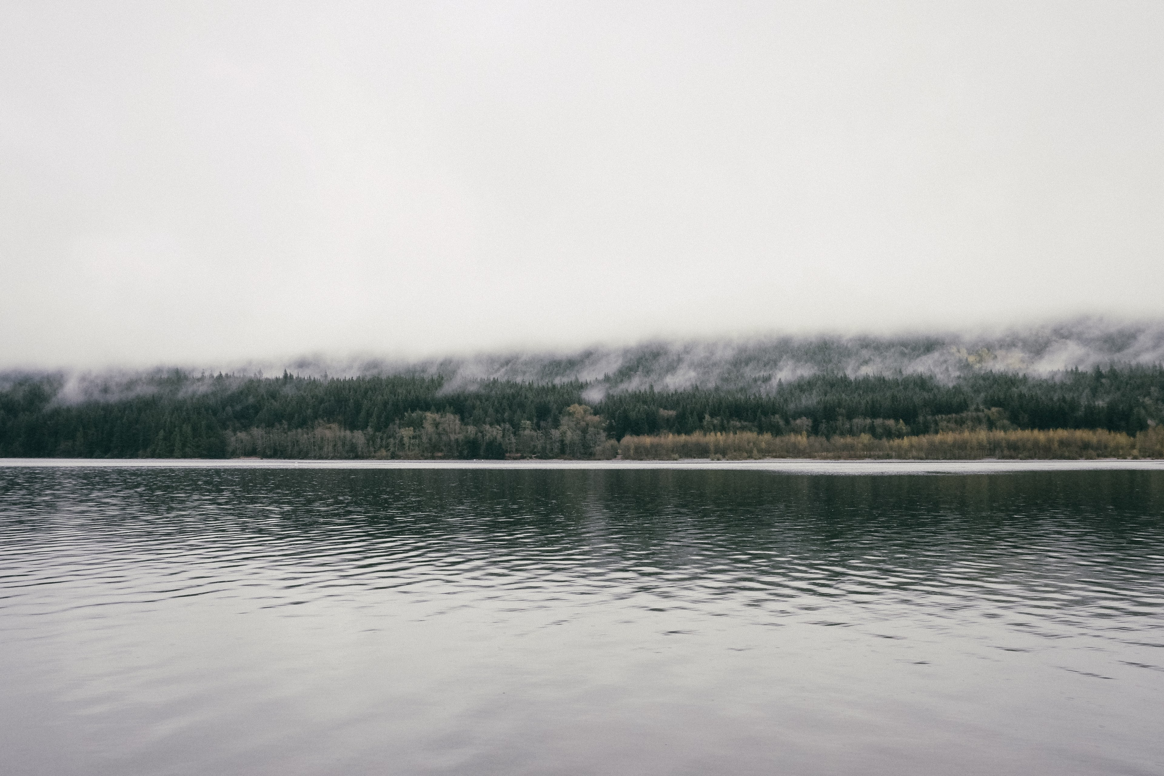 a view of a lake and an evergreen forest enveloped in a dense fog on the other side, mist over the lake shore 4k, HD Wallpaper