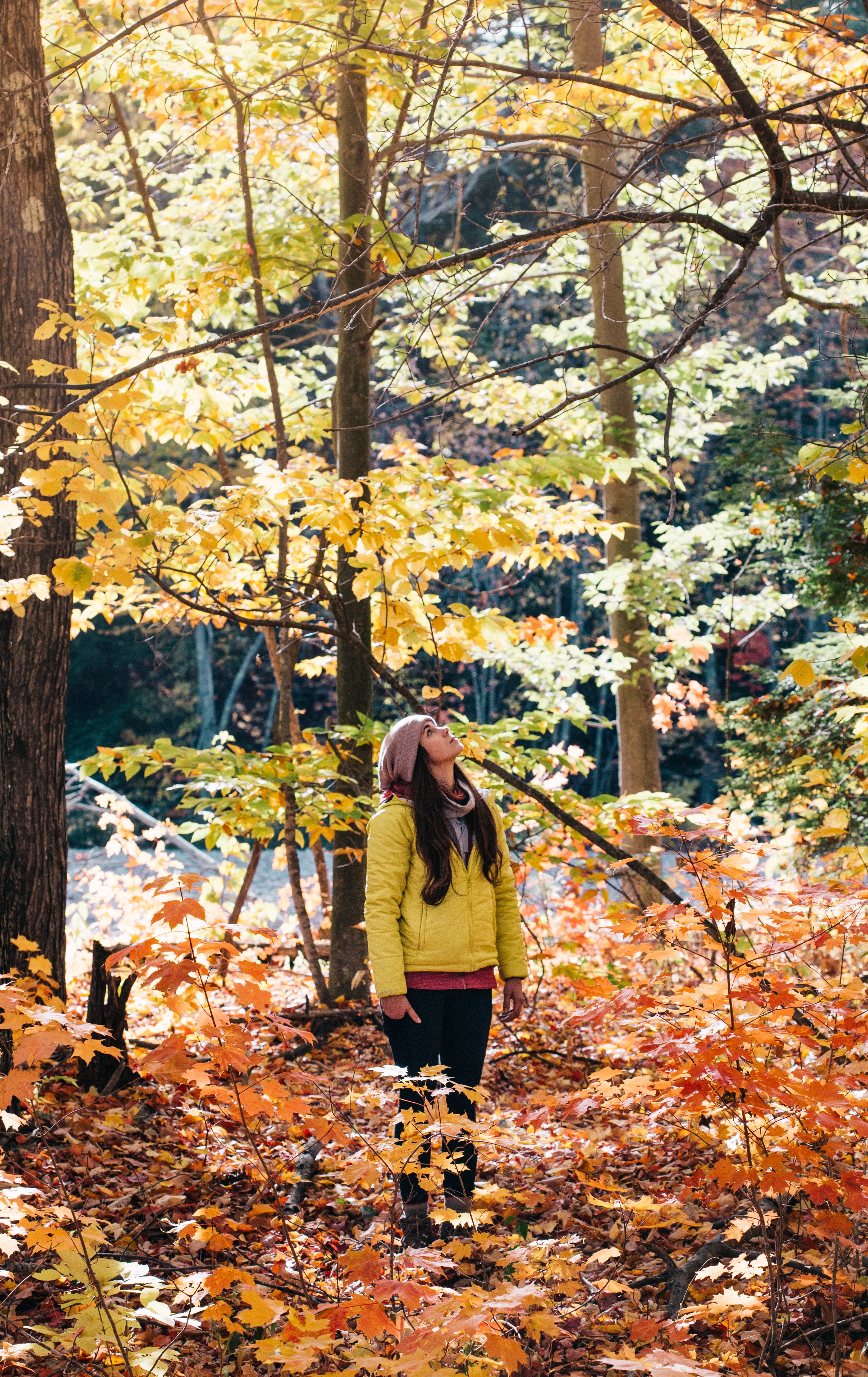 a young woman looking up in an autumn colored forest, in the woods in autumn 4k, Phone HD Wallpaper
