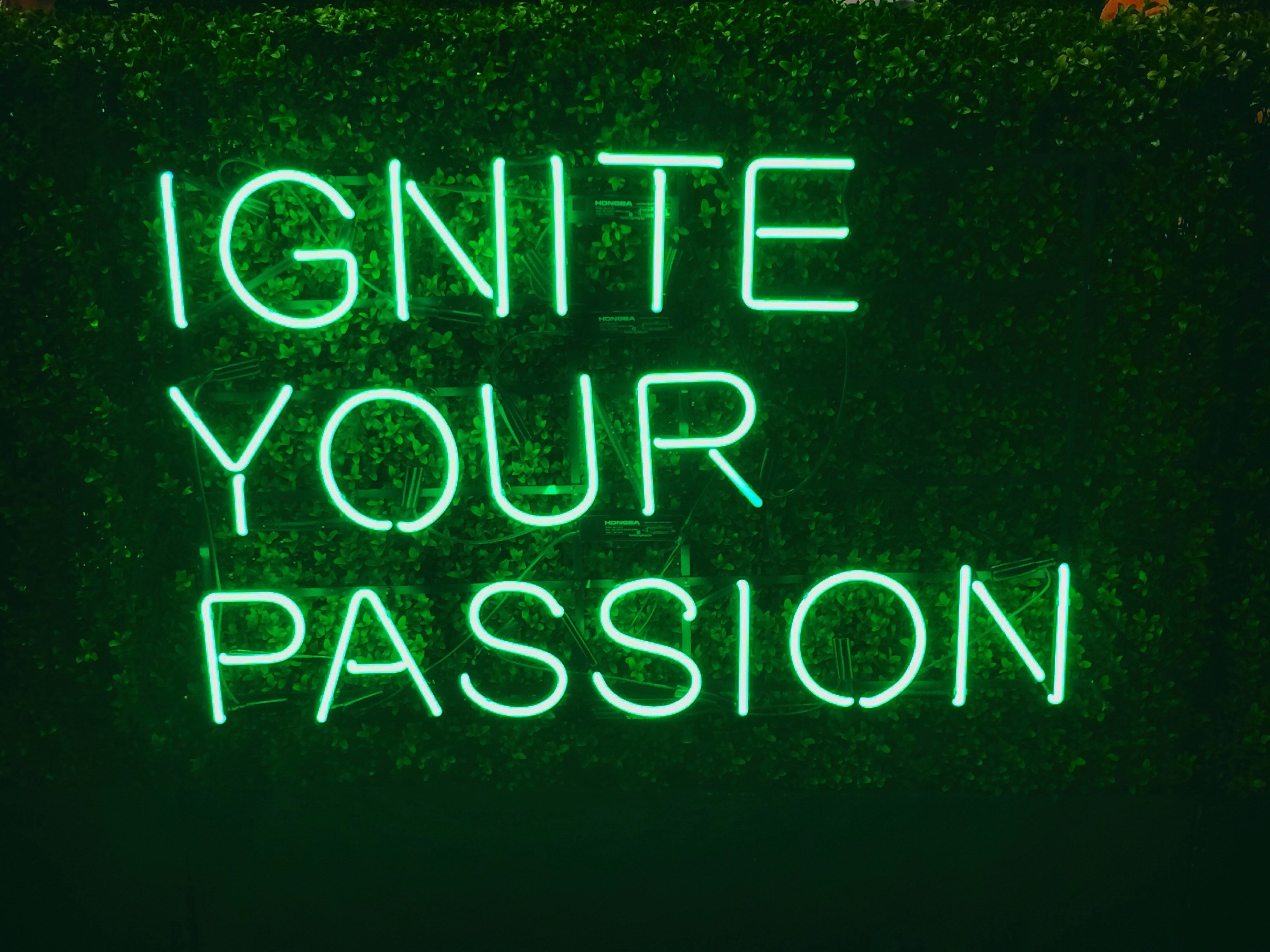 neon light neon passion and ignite 4k, HD Wallpaper