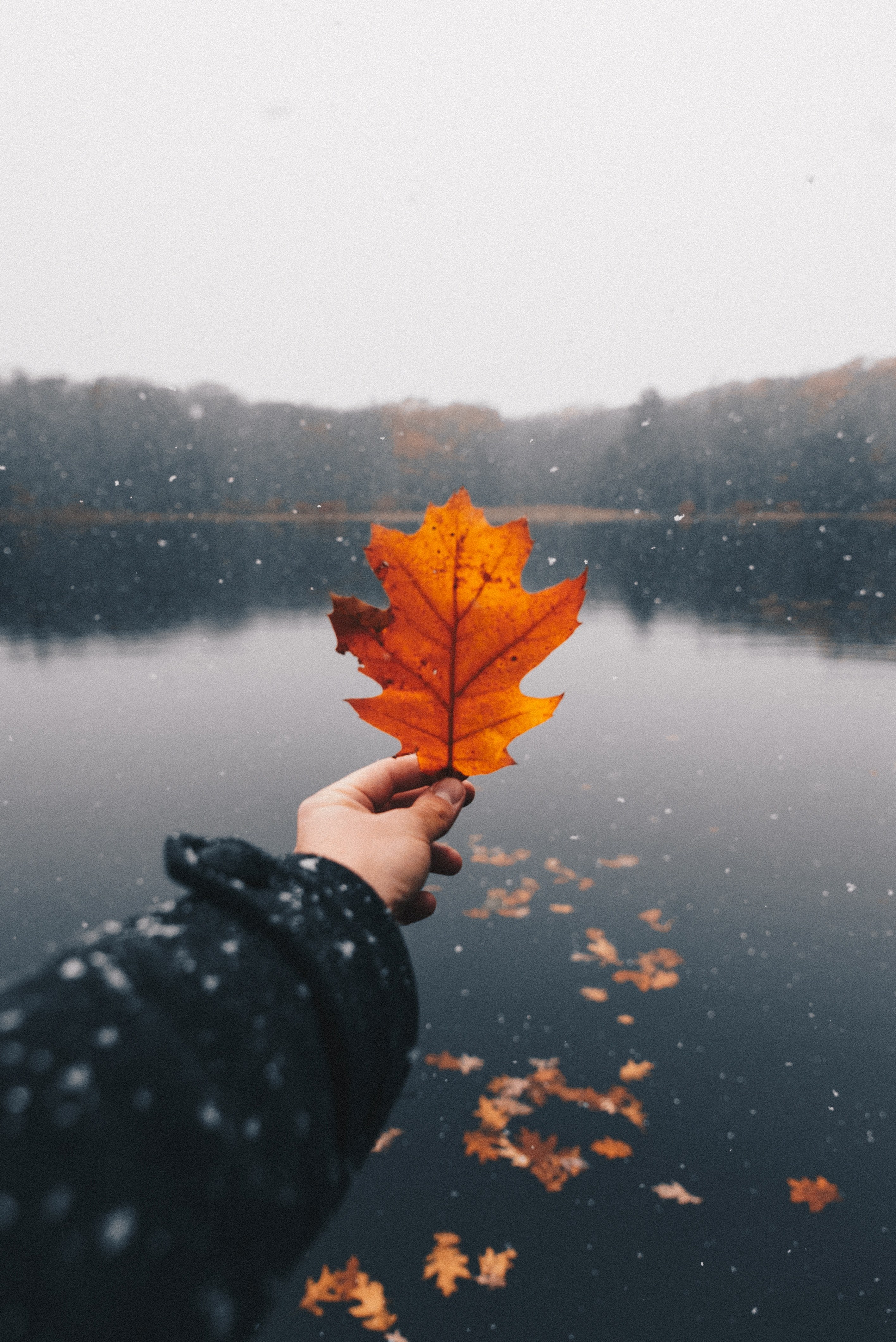 falling 4k, Phone HD Wallpaper
