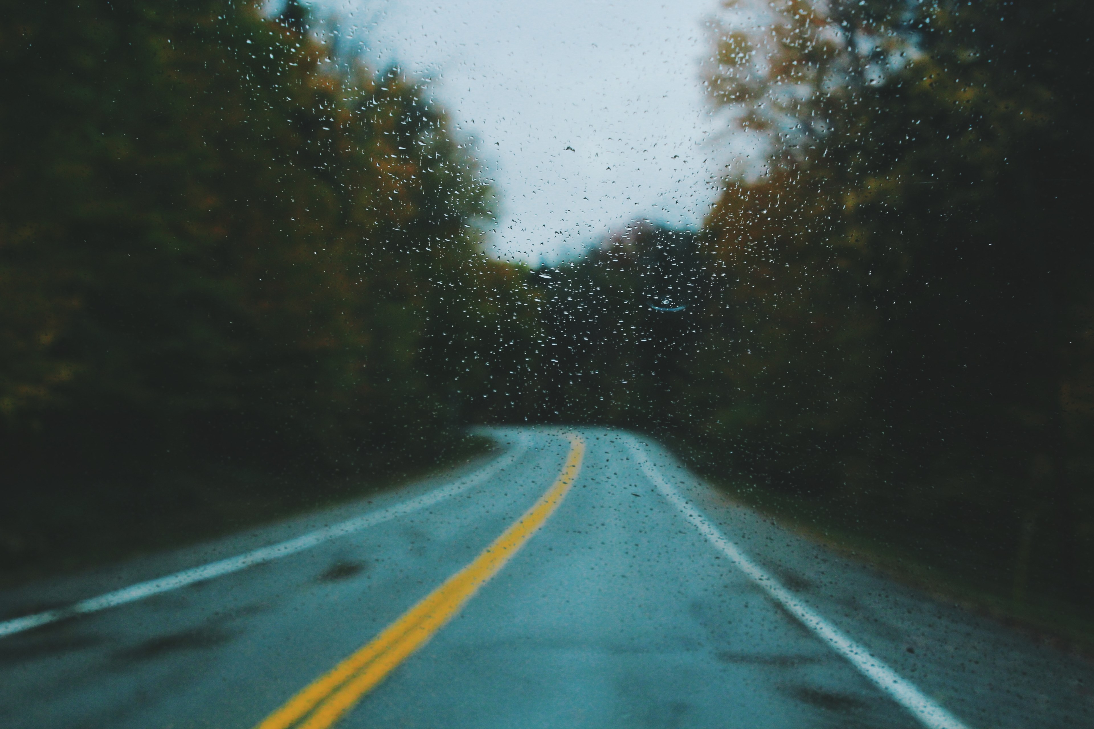 view through a wet windshield on a tree lined asphalt road, rainy road 4k, HD Wallpaper