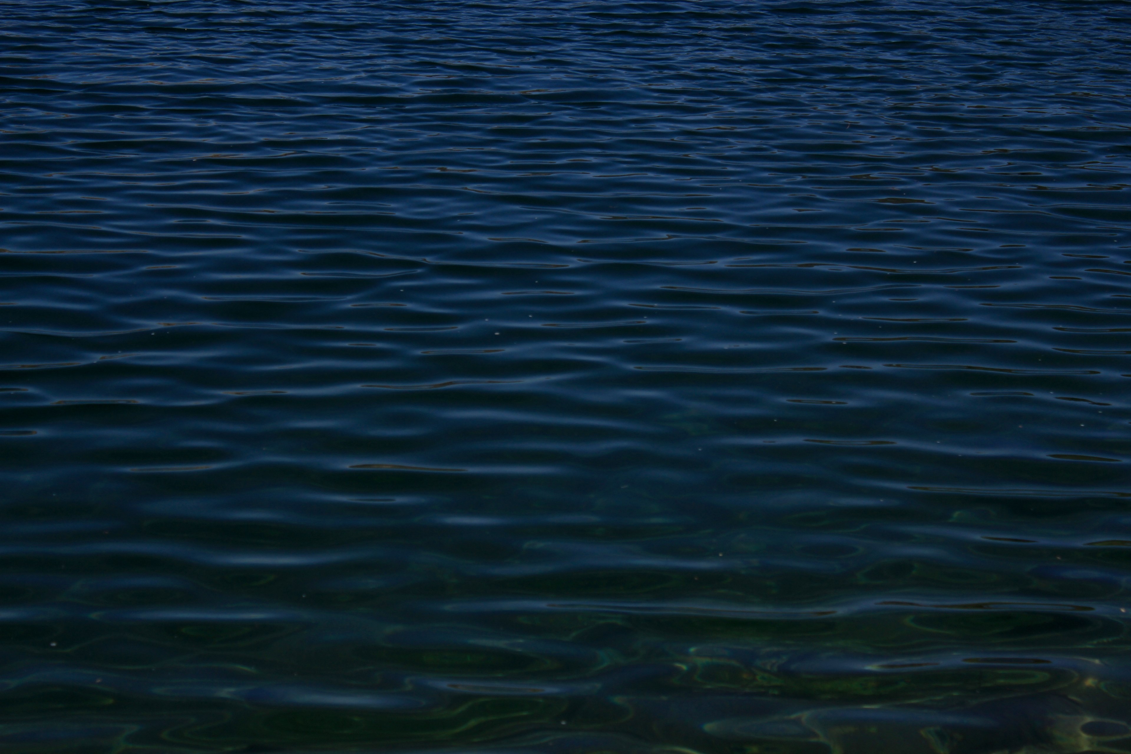 southern californium san diego californium and lake poway 4k, HD Wallpaper