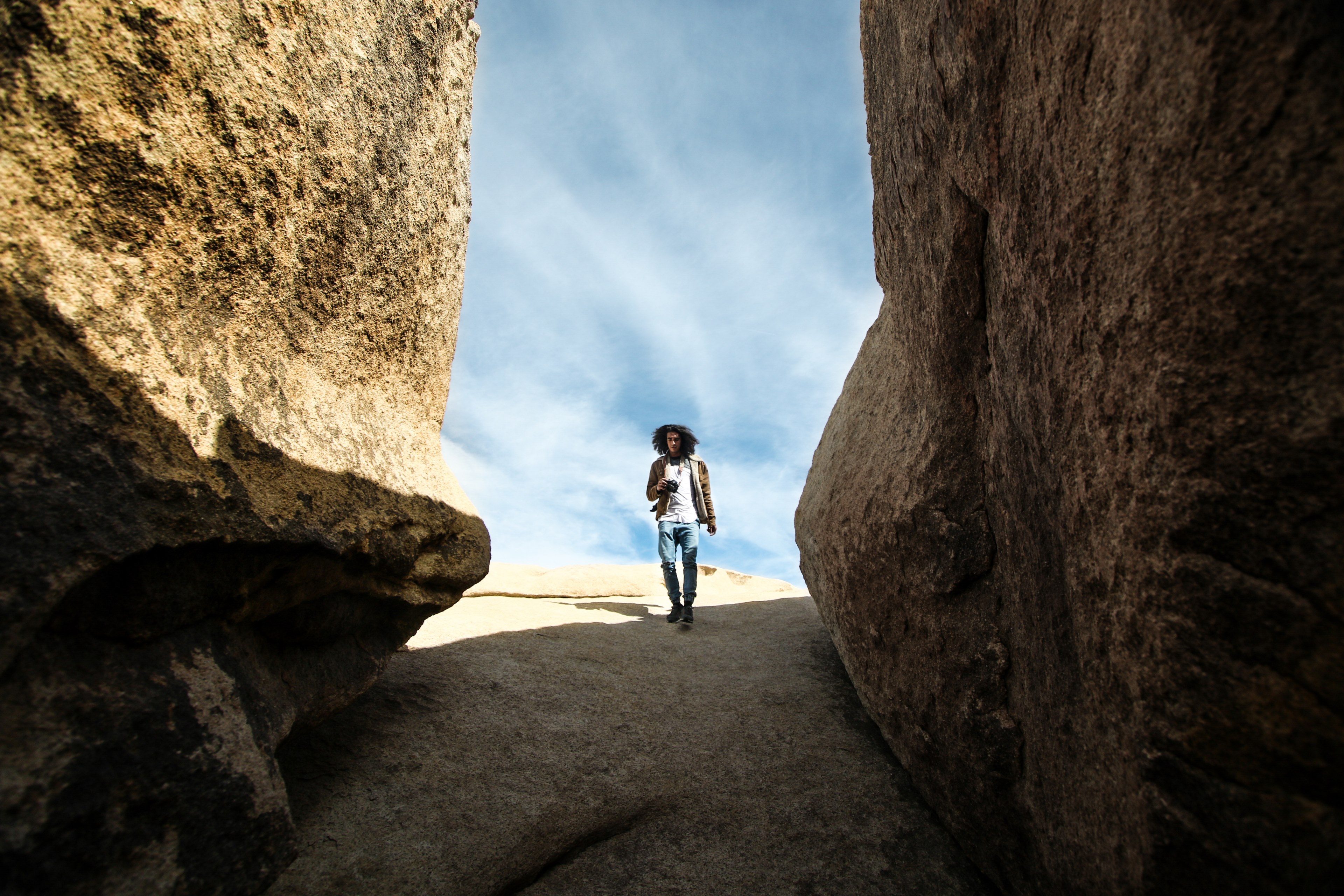 daytime joshua tree hair and man 4k, HD Wallpaper