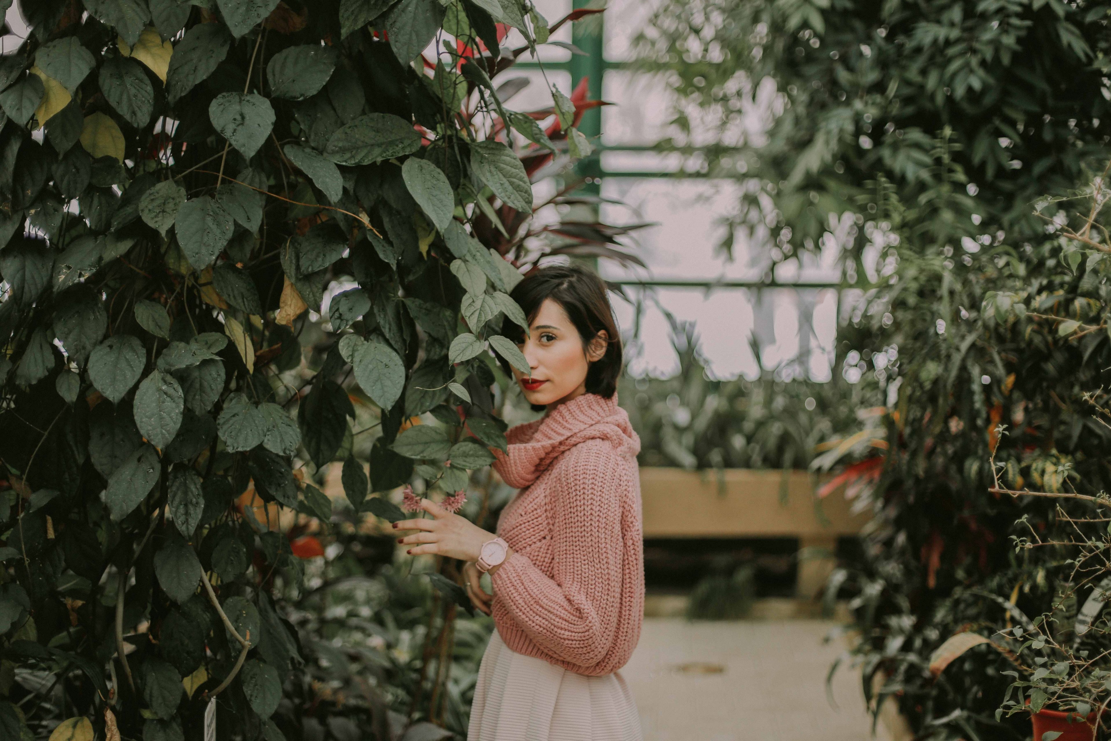 a woman in a pink cowl neck sweater stands against a plant in a greenhouse, we found spring this winter 4k, HD Wallpaper