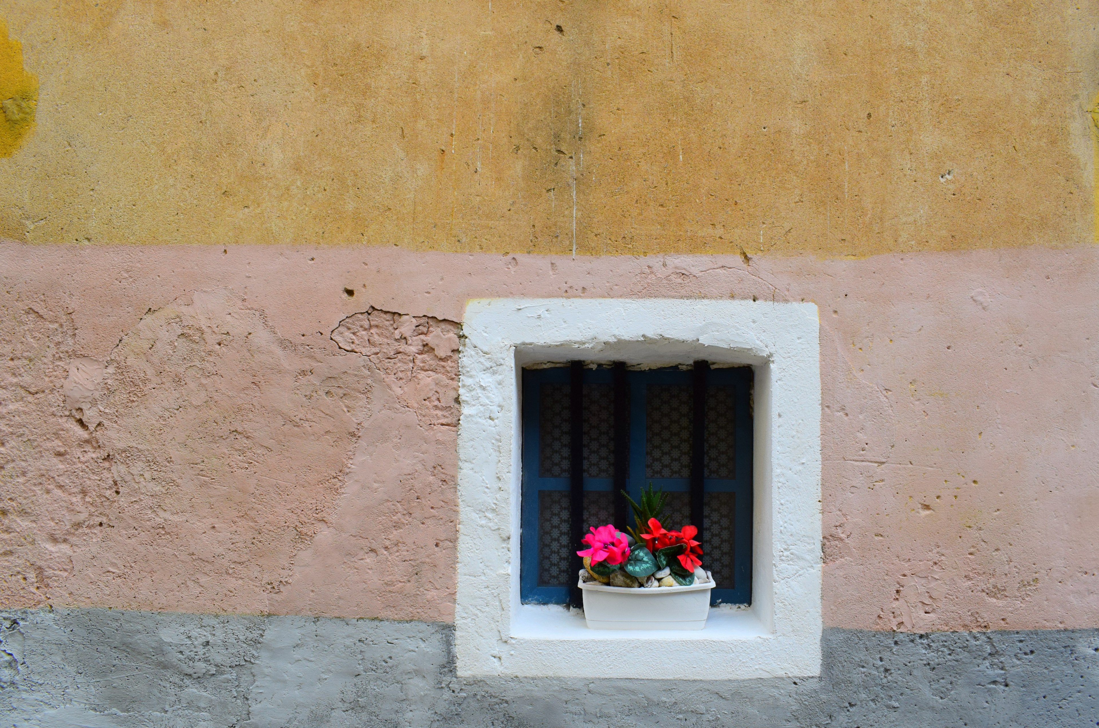a tiny window box with pink and red flowers on a windowsill of a small square window, tiny window box 4k, HD Wallpaper