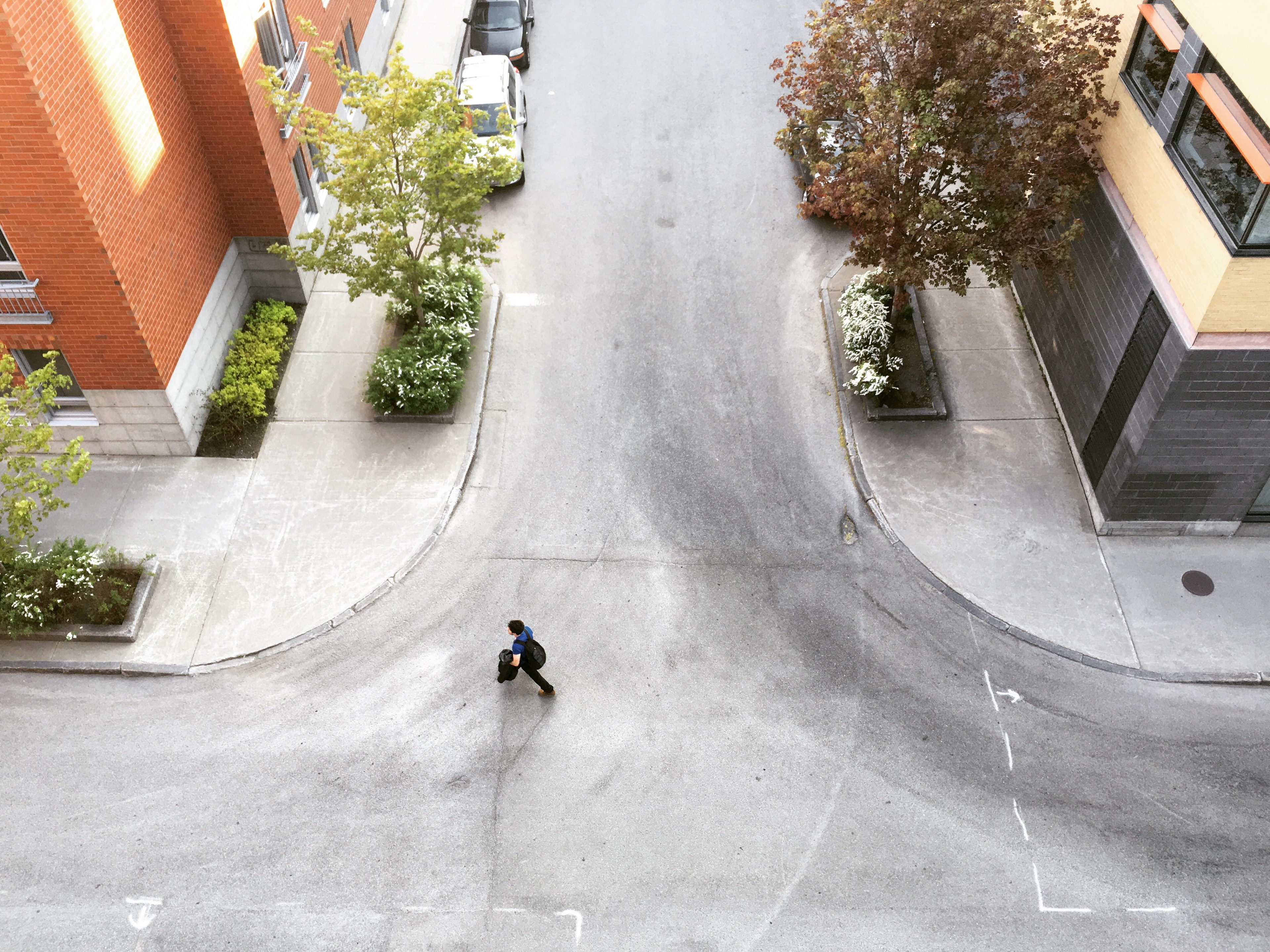 businessman walking across empty road buildings with modern architecture and trees on sidewalk saint roch, man walking road saint roch 4k, HD Wallpaper