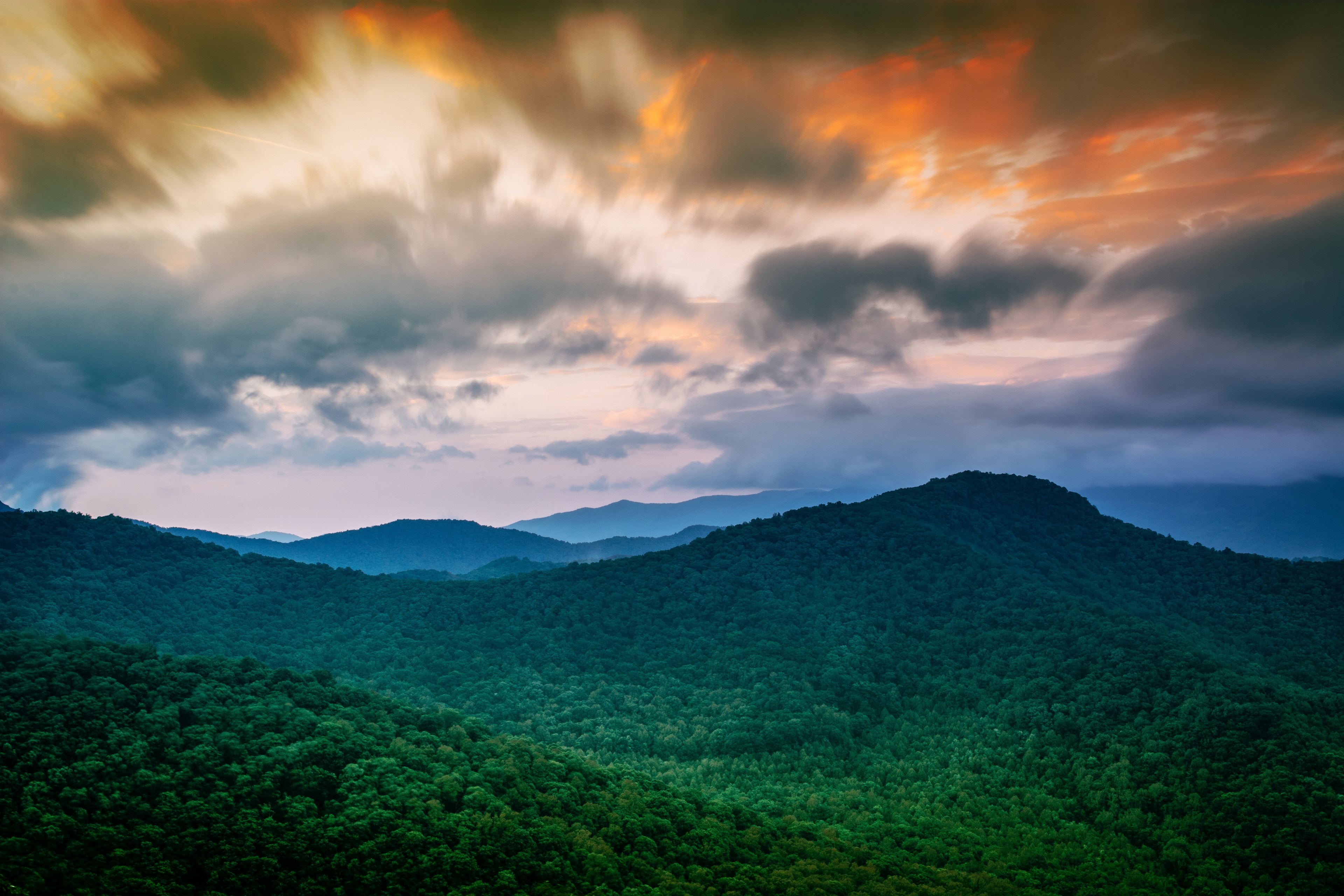 a forest blankets the hills of the jungle at sunset, the forest at sunset 4k, HD Wallpaper