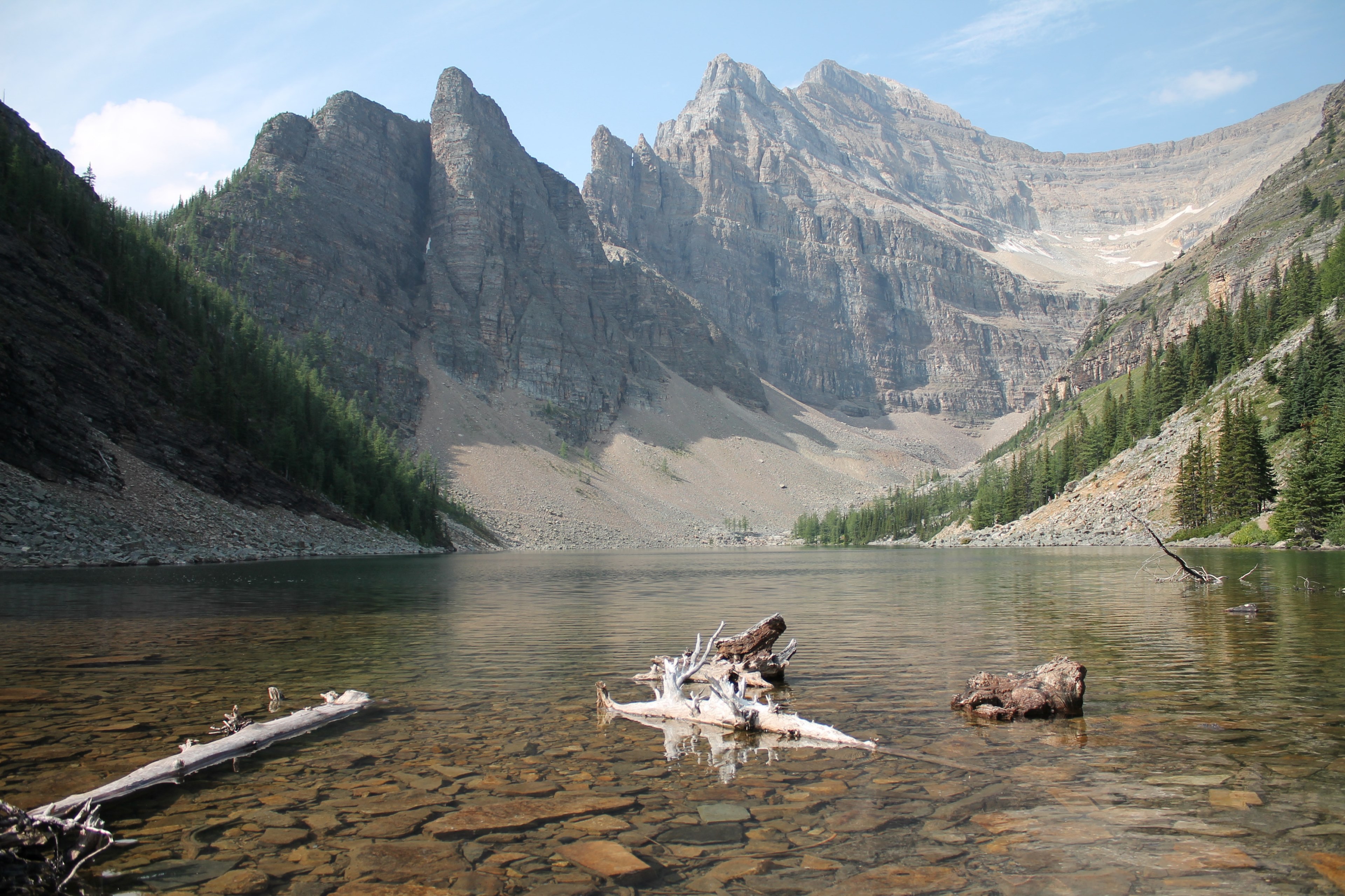 driftwood in a shallow mountain lake, driftwood in a lake 4k, HD Wallpaper