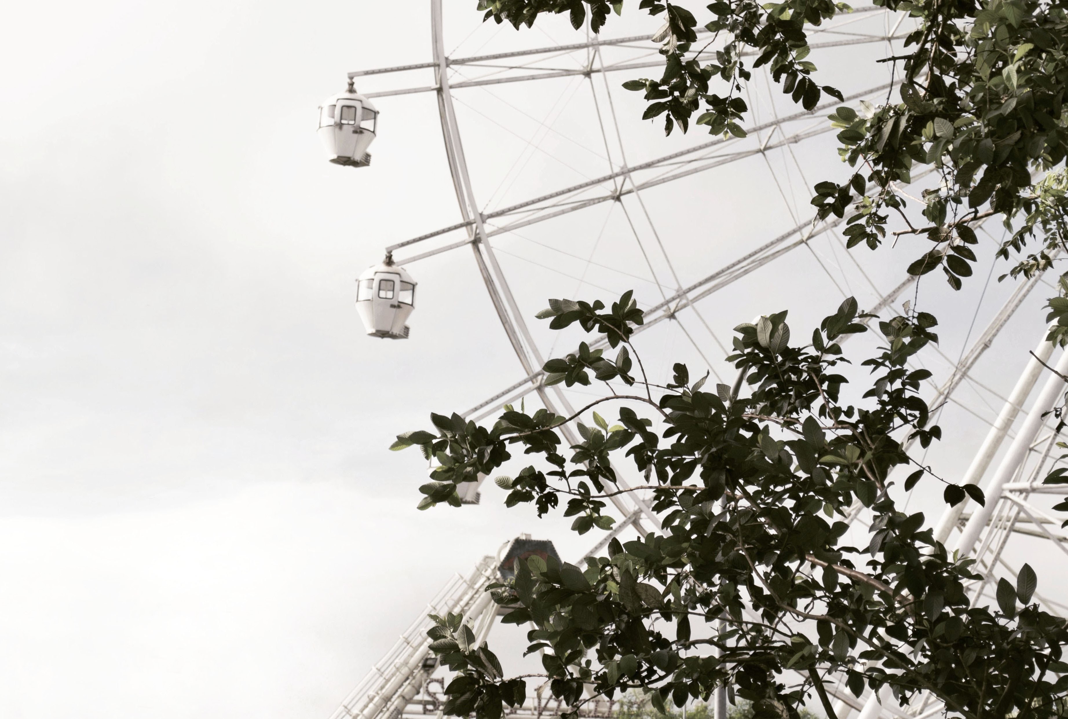 big wheel ferris wheel funfair and ride 4k, HD Wallpaper