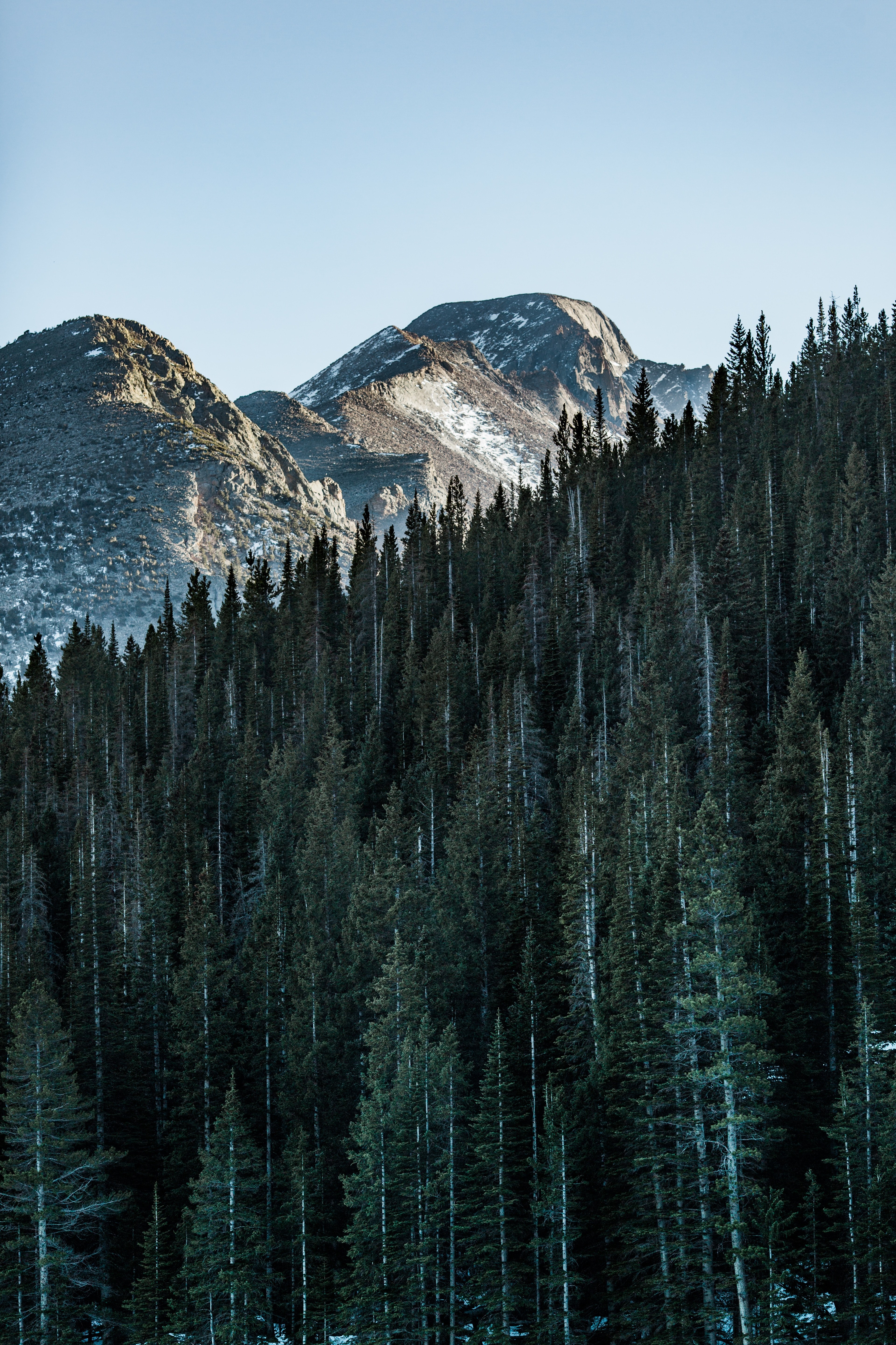 mountain snow tree and woodland hd, 4k, Phone HD Wallpaper