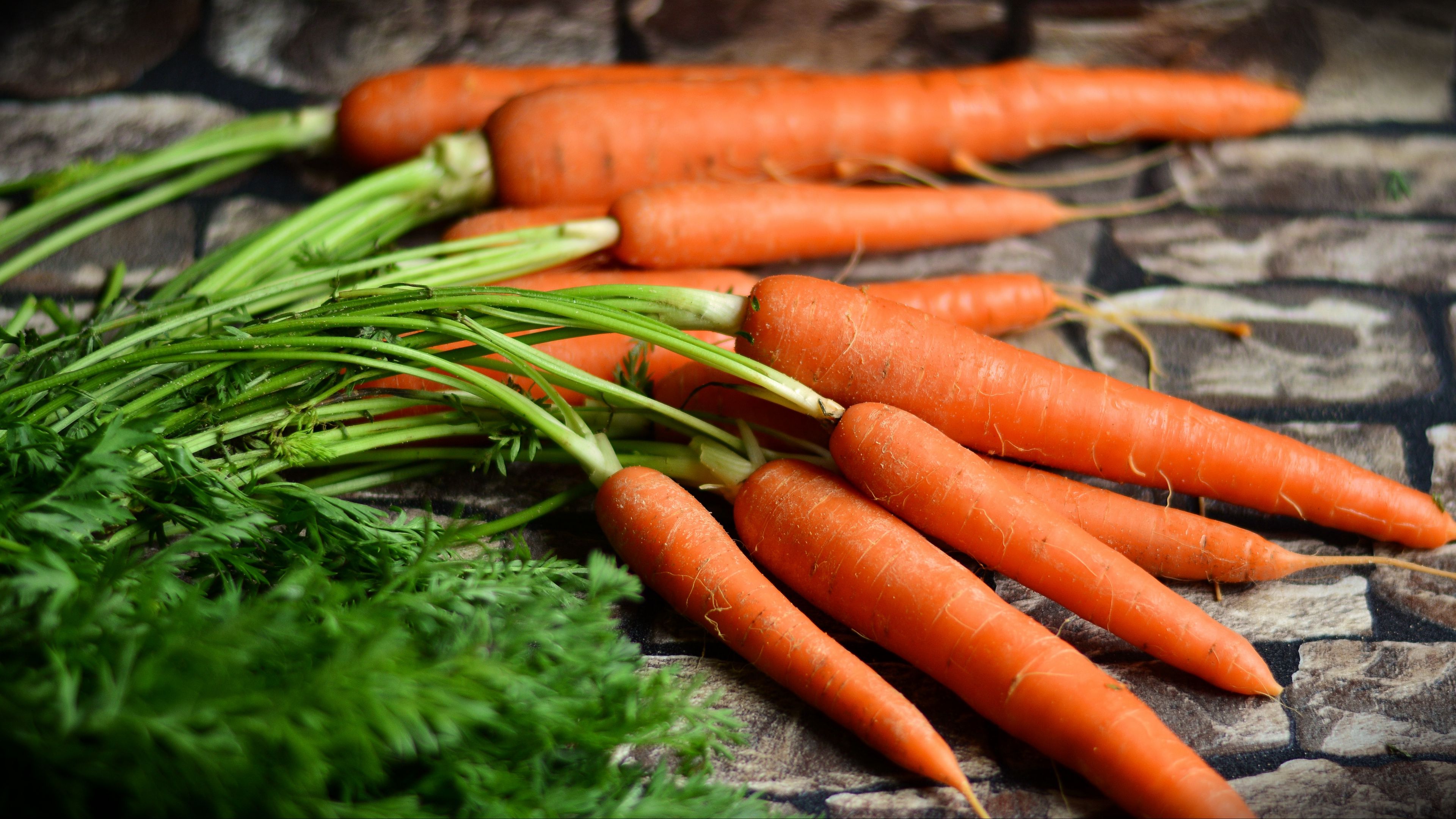 carrots, vegetables, harvest, 4k, HD Wallpaper
