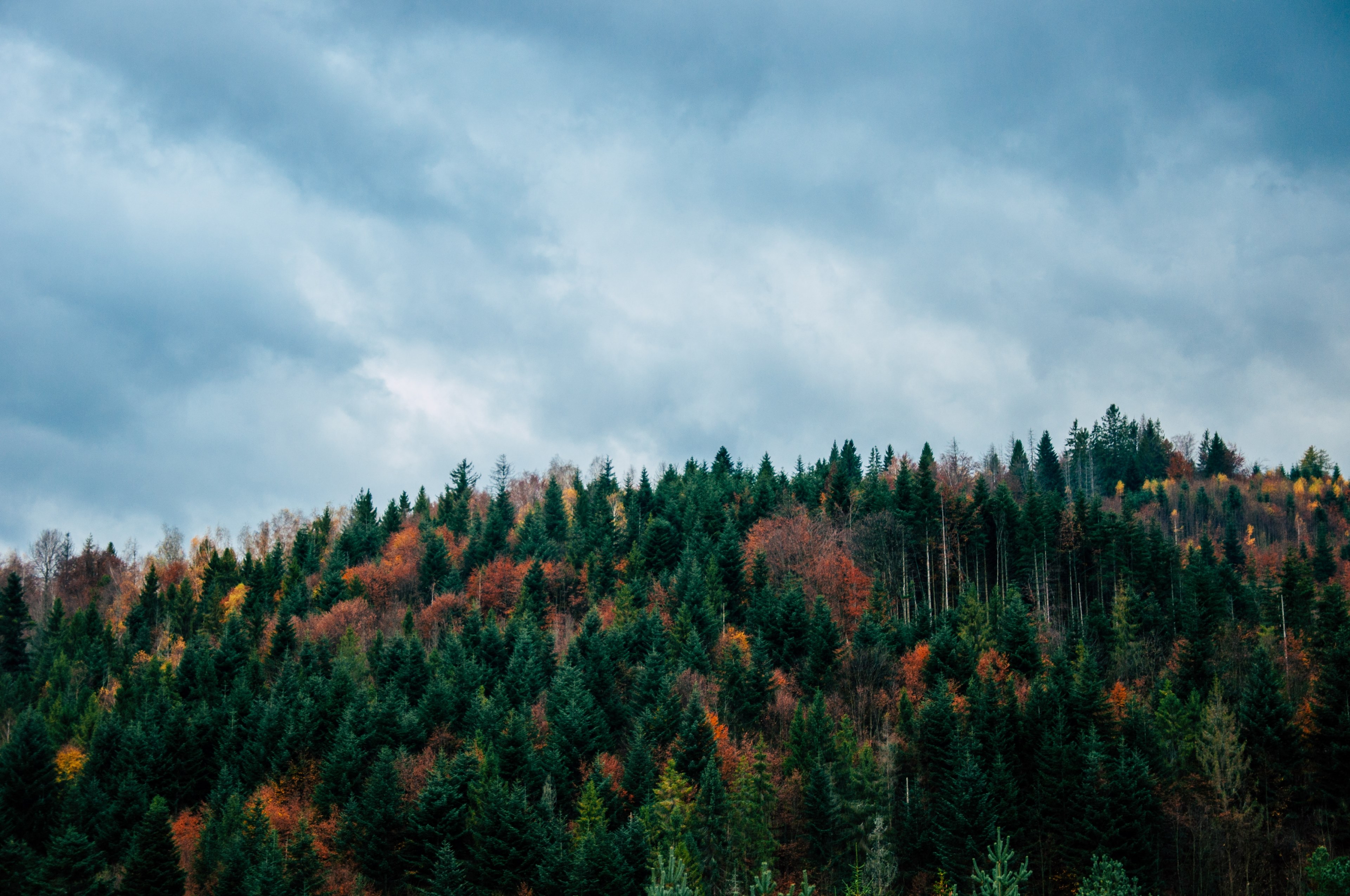 just a beautiful ukrainian landscapes 4k, HD Wallpaper