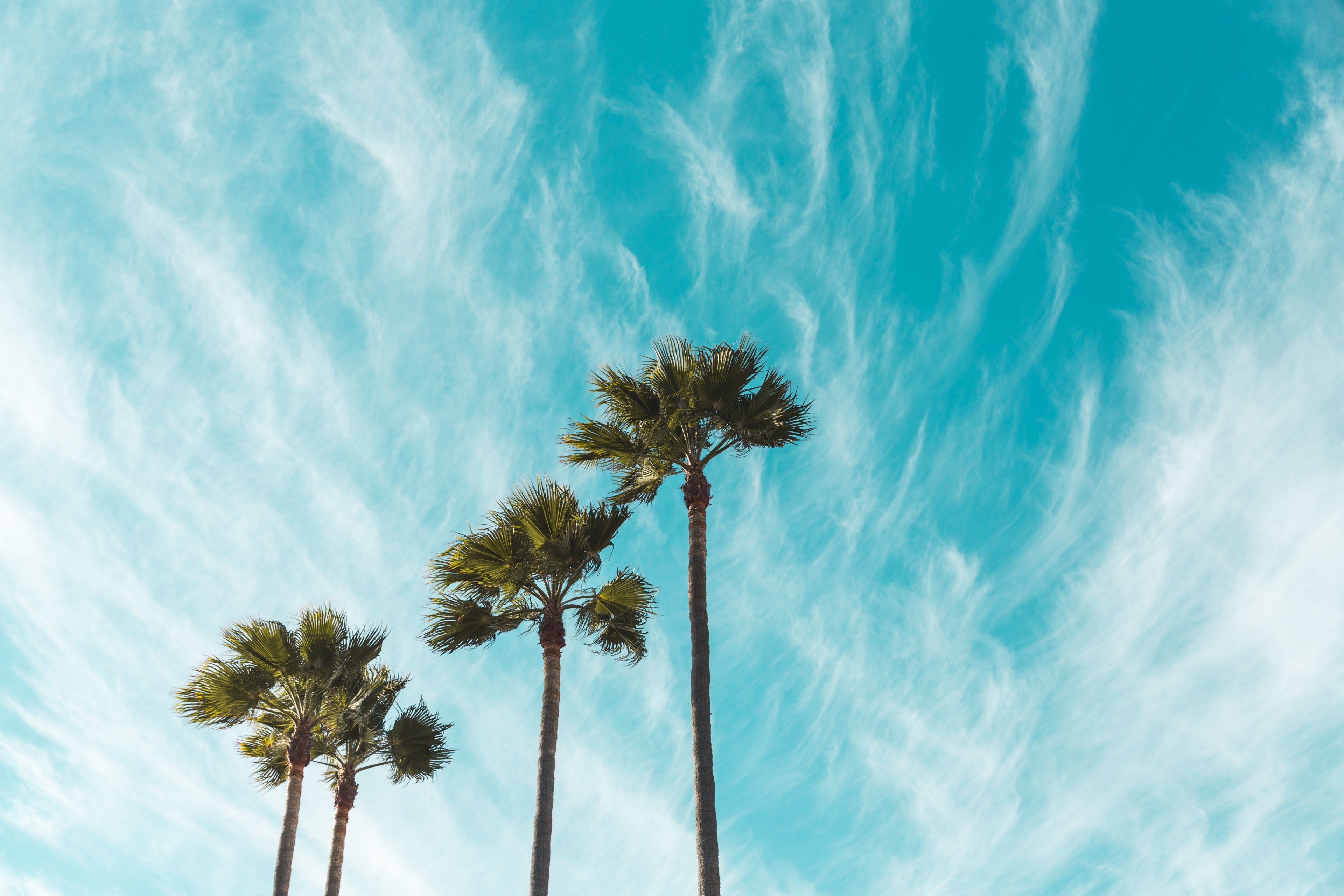 windswept skies 4k, HD Wallpaper