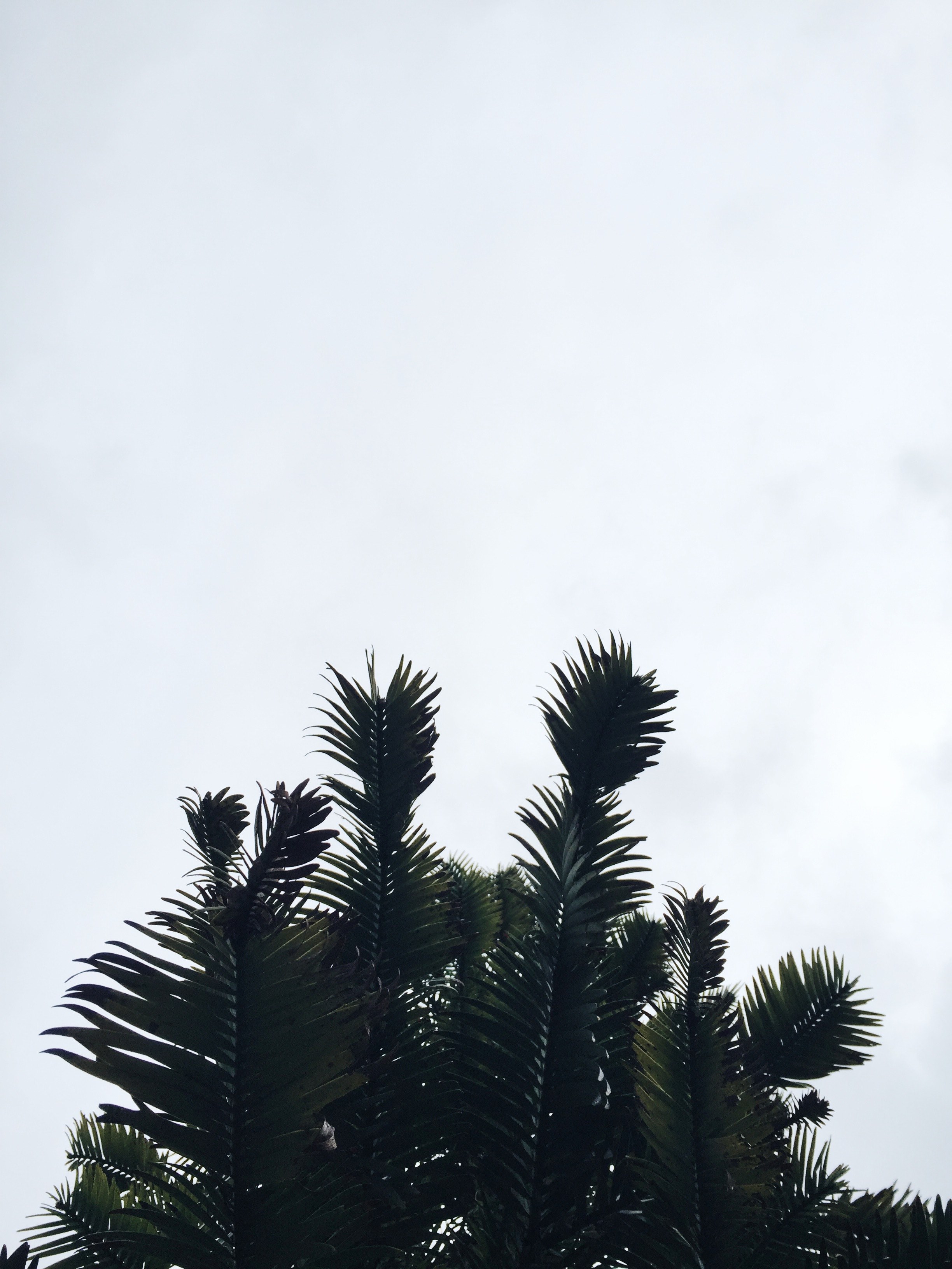 overcast cloud minimal and minimalist hd, 4k, Phone HD Wallpaper
