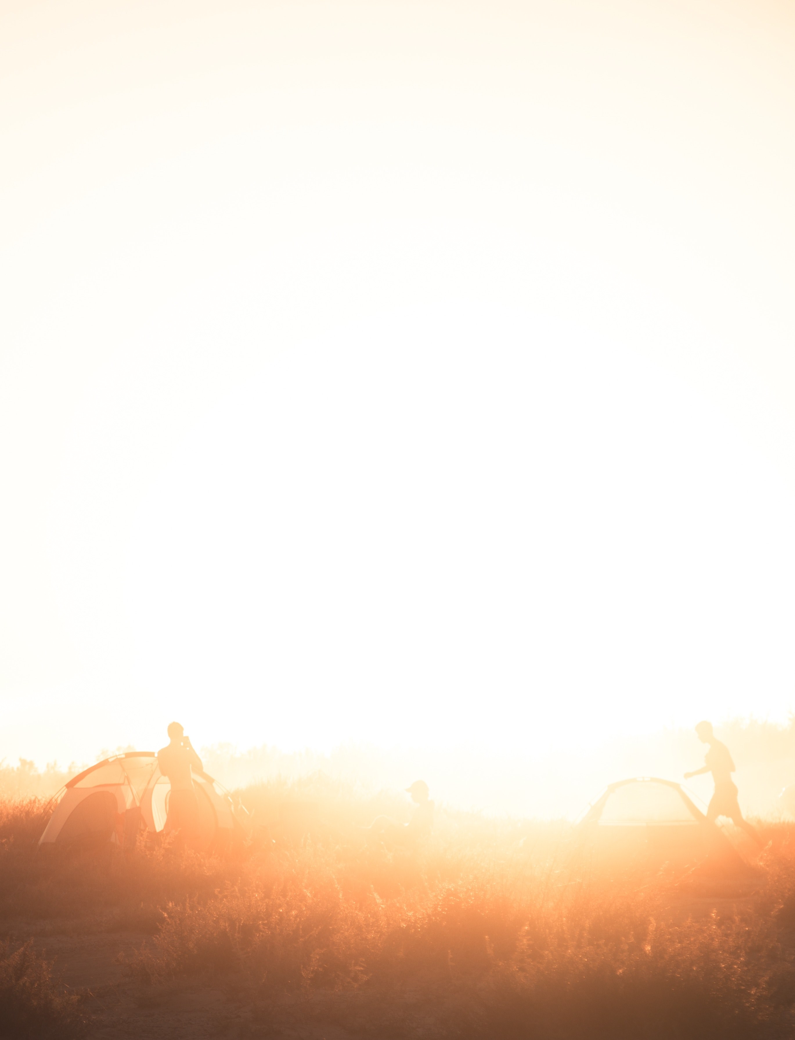 camp vibes 4k, Phone HD Wallpaper