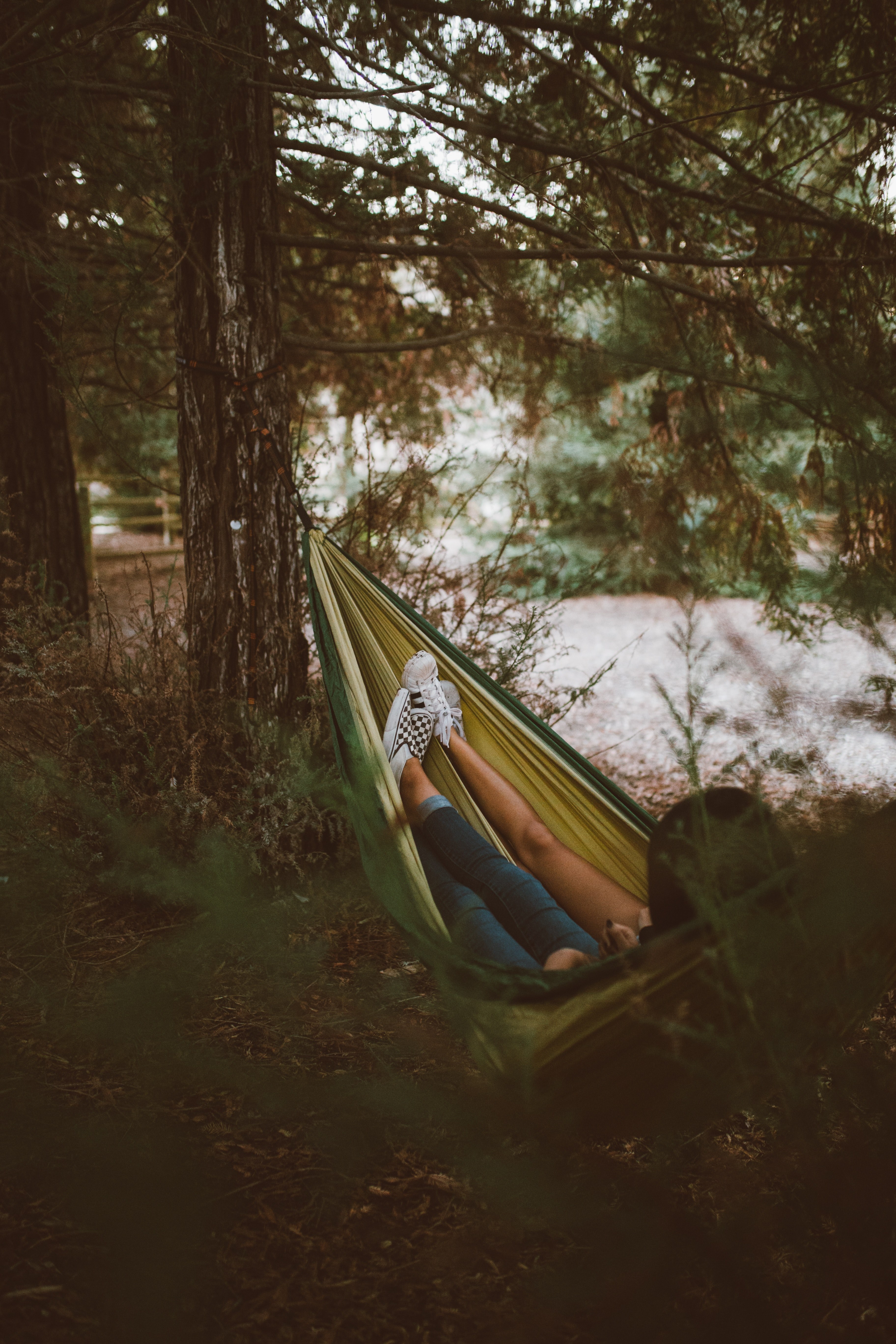 two people in a hammock hanging between trees, cozy hammock 4k, Phone HD Wallpaper