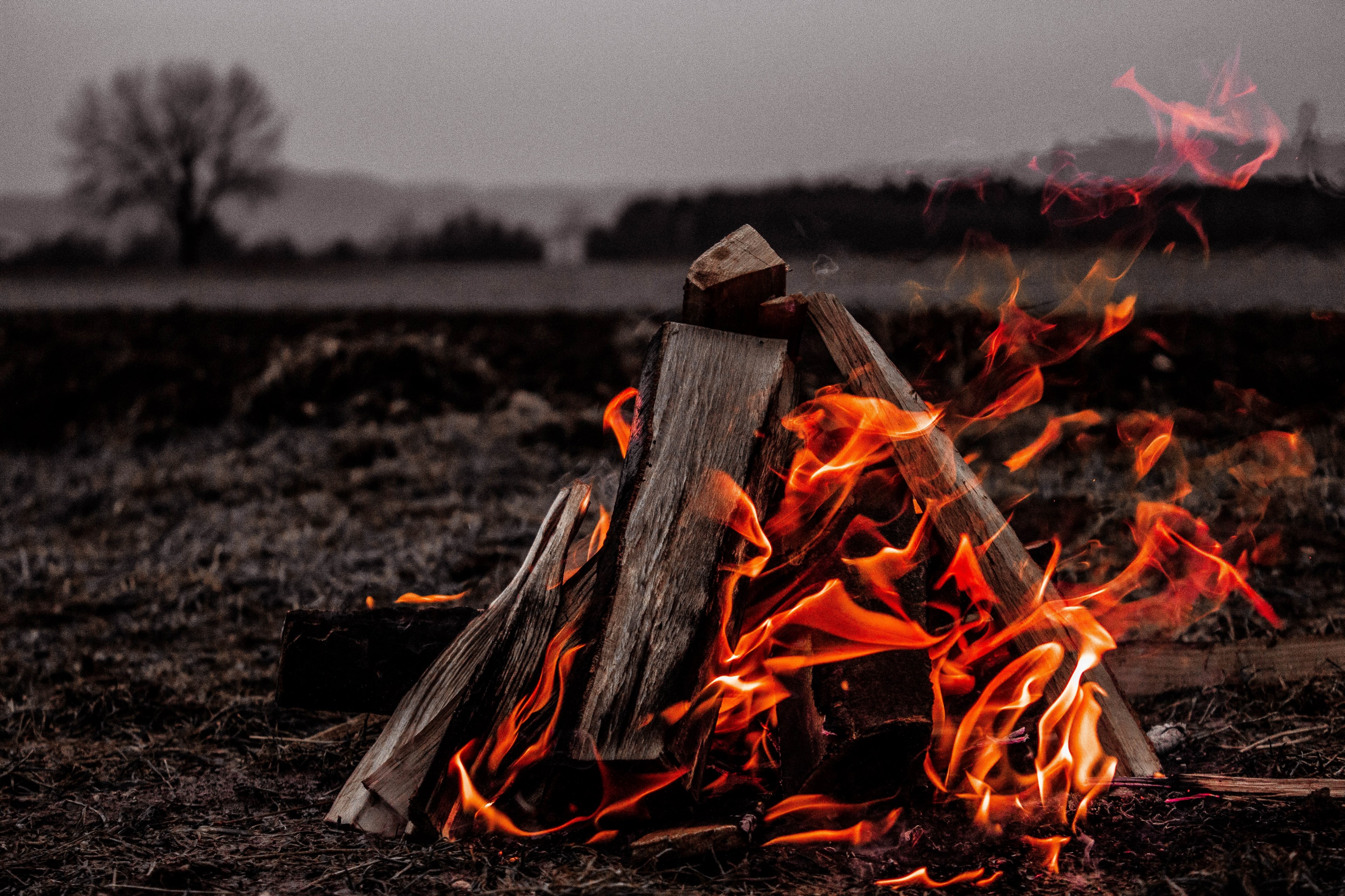 fire 4k, HD Wallpaper