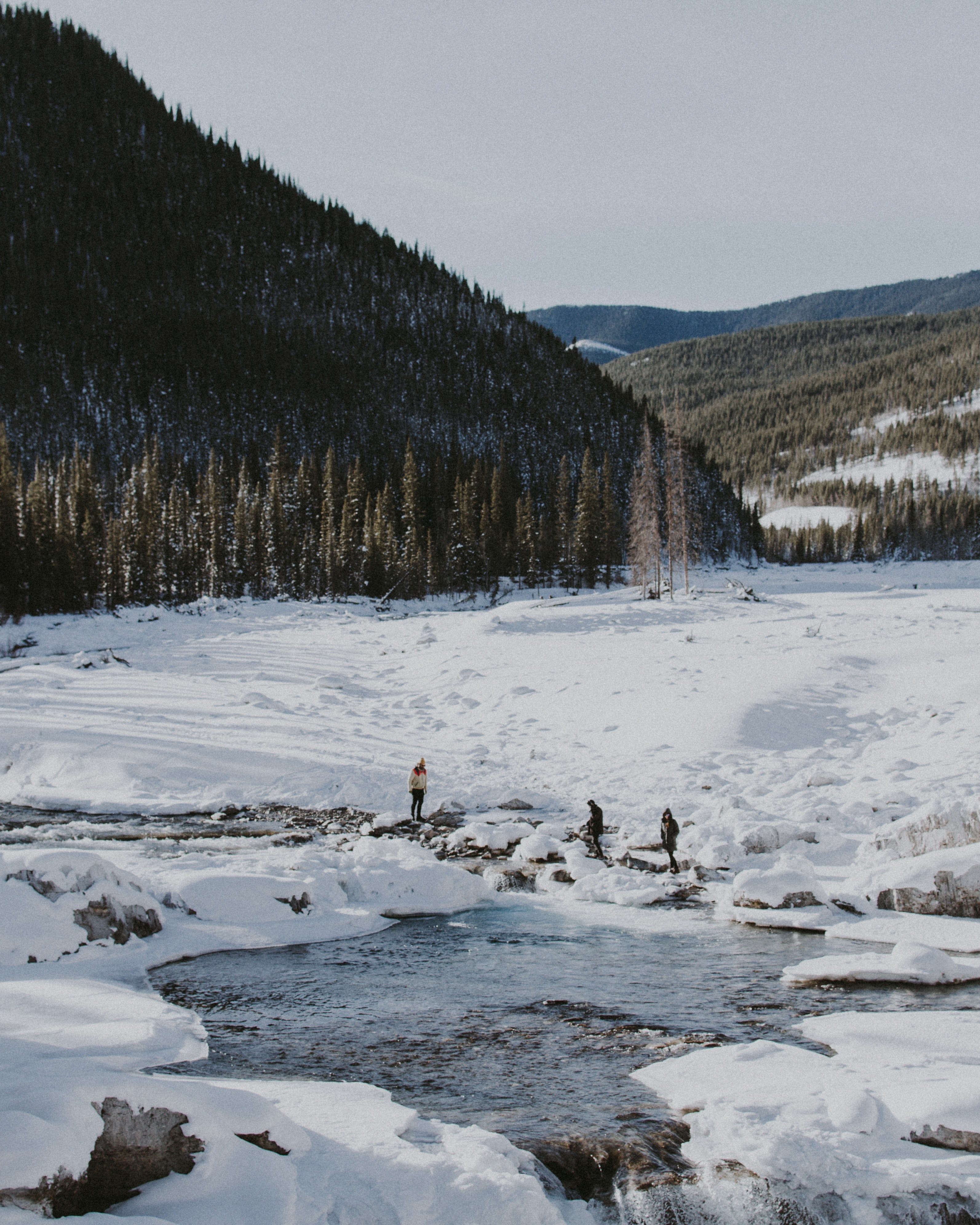 forest water snow and hike hd, 4k, Phone HD Wallpaper