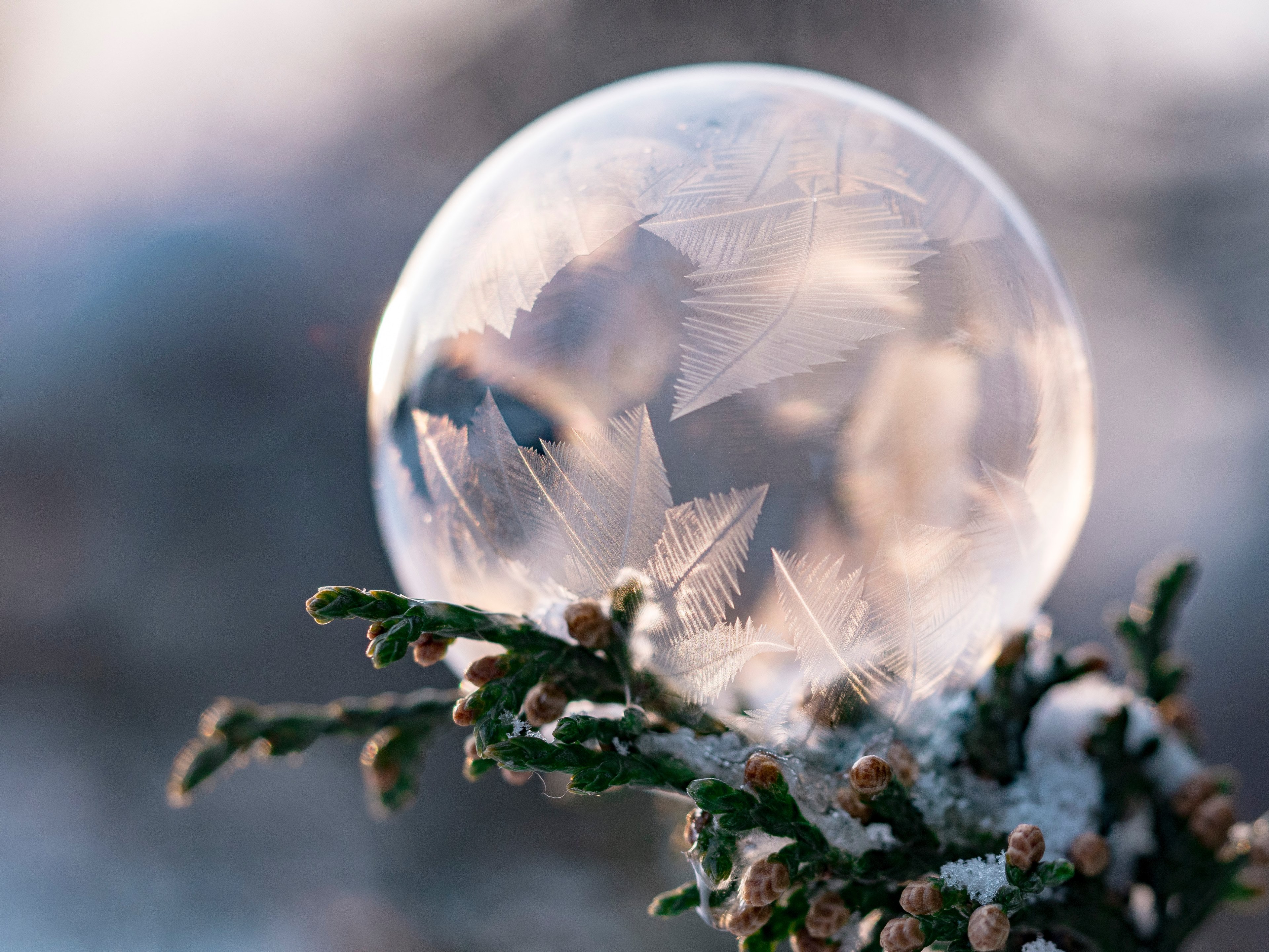 sphere glass ice and frozen 4k, HD Wallpaper
