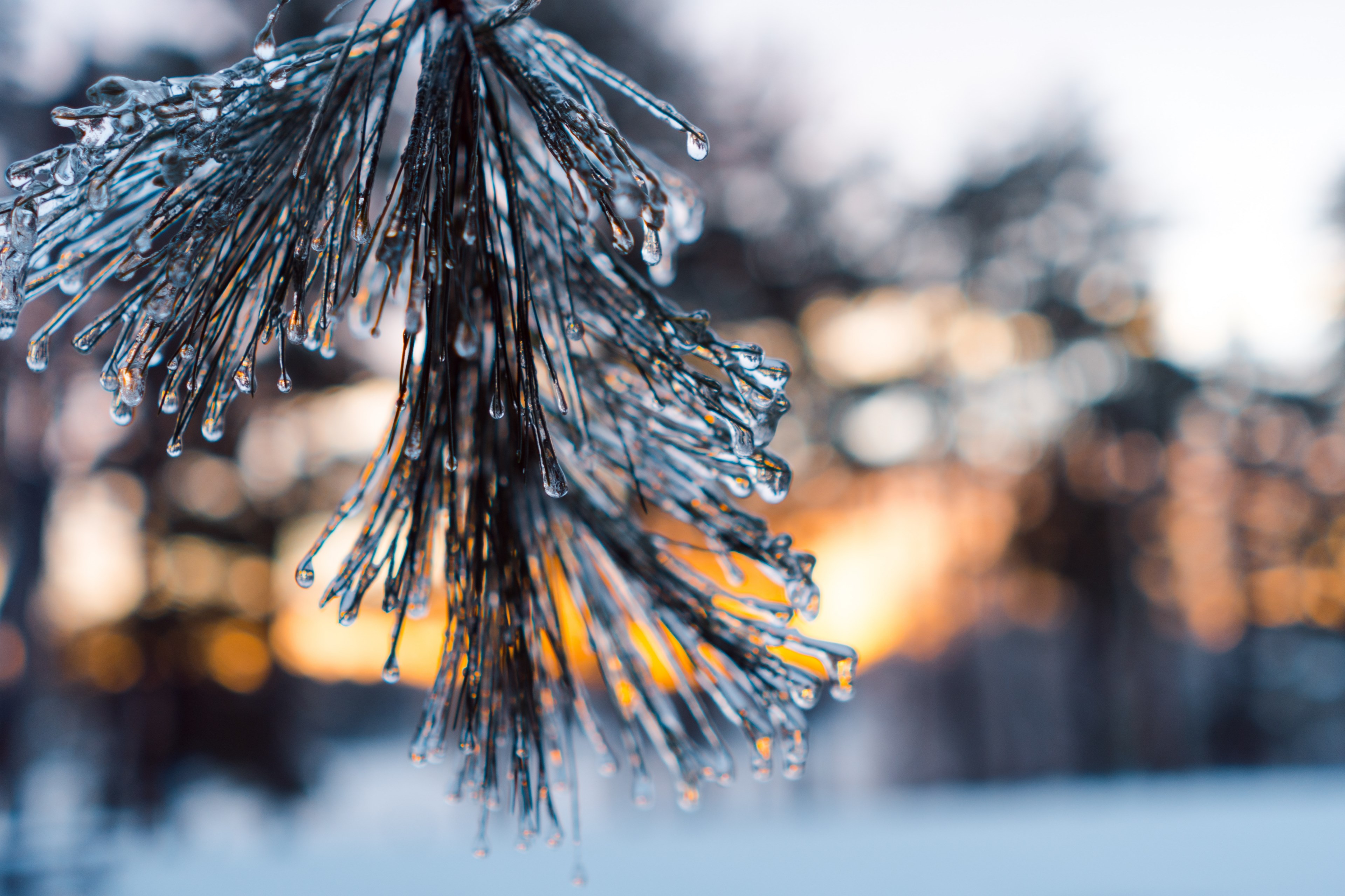 fleeting moments 4k, HD Wallpaper