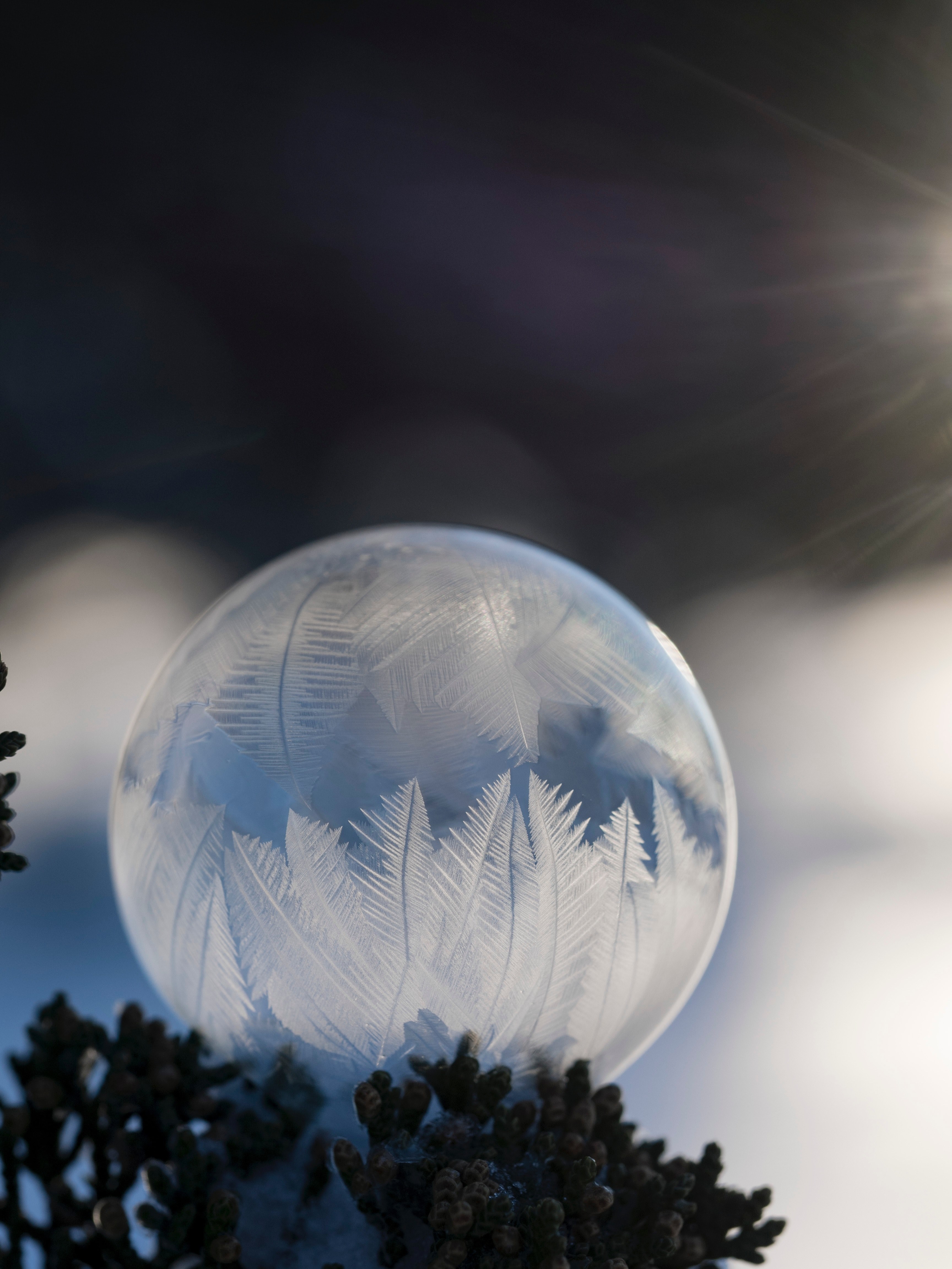 ice sphere ball and frozen hd, 4k, Phone HD Wallpaper