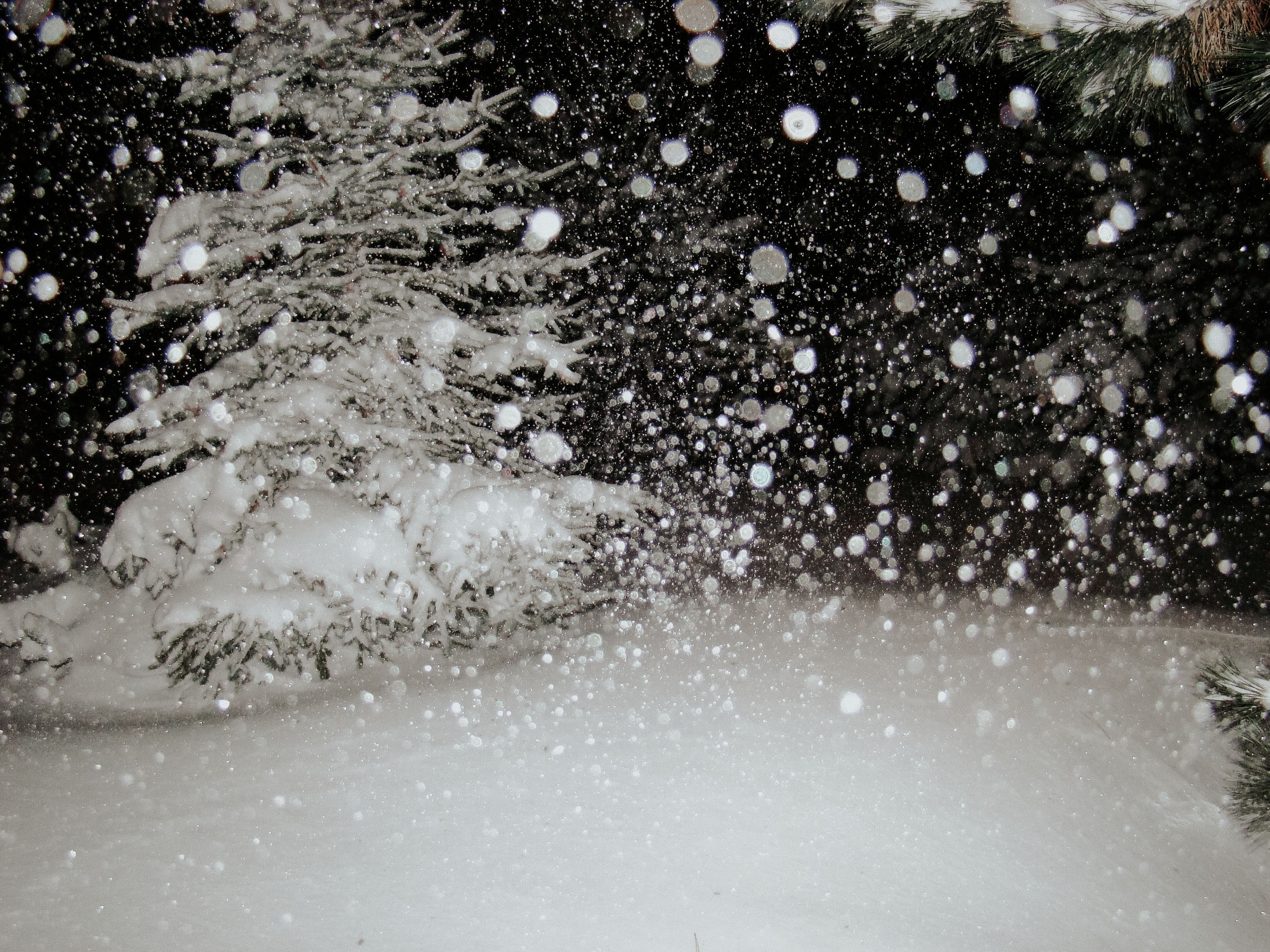 blizzard 4k, HD Wallpaper