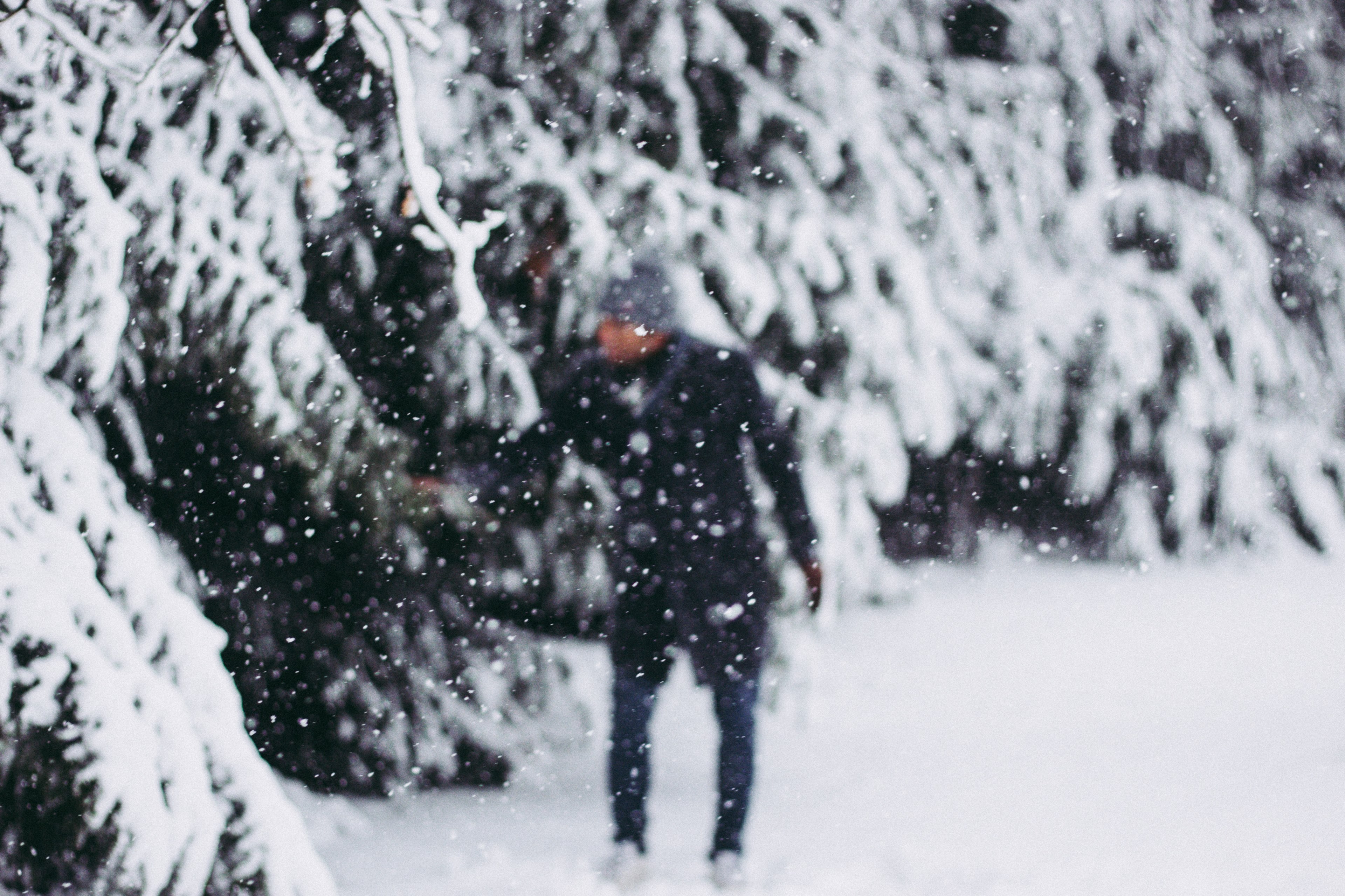 let it snow let it snow_ 4k, HD Wallpaper